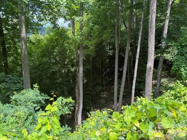 Lot 22 Spring Rock Road Property Photo 2