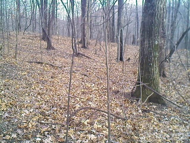 Lot 246 Glen Ridge Trail Property Photo 3