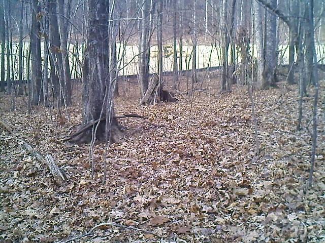 Lot 246 Glen Ridge Trail Property Photo 4