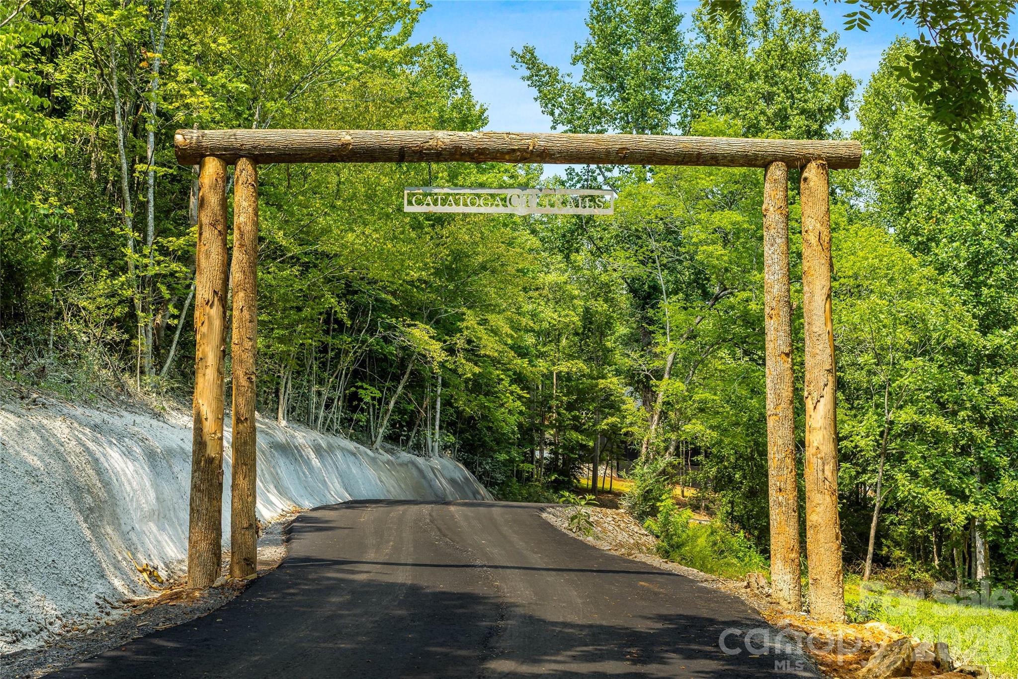 87 Catatoga Trail Property Photo 29