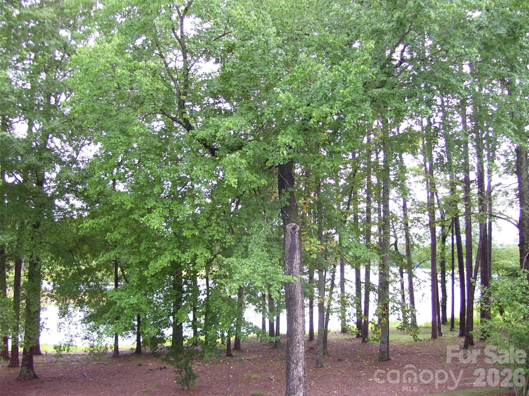 1859 Wetherburn Drive Property Photo 31