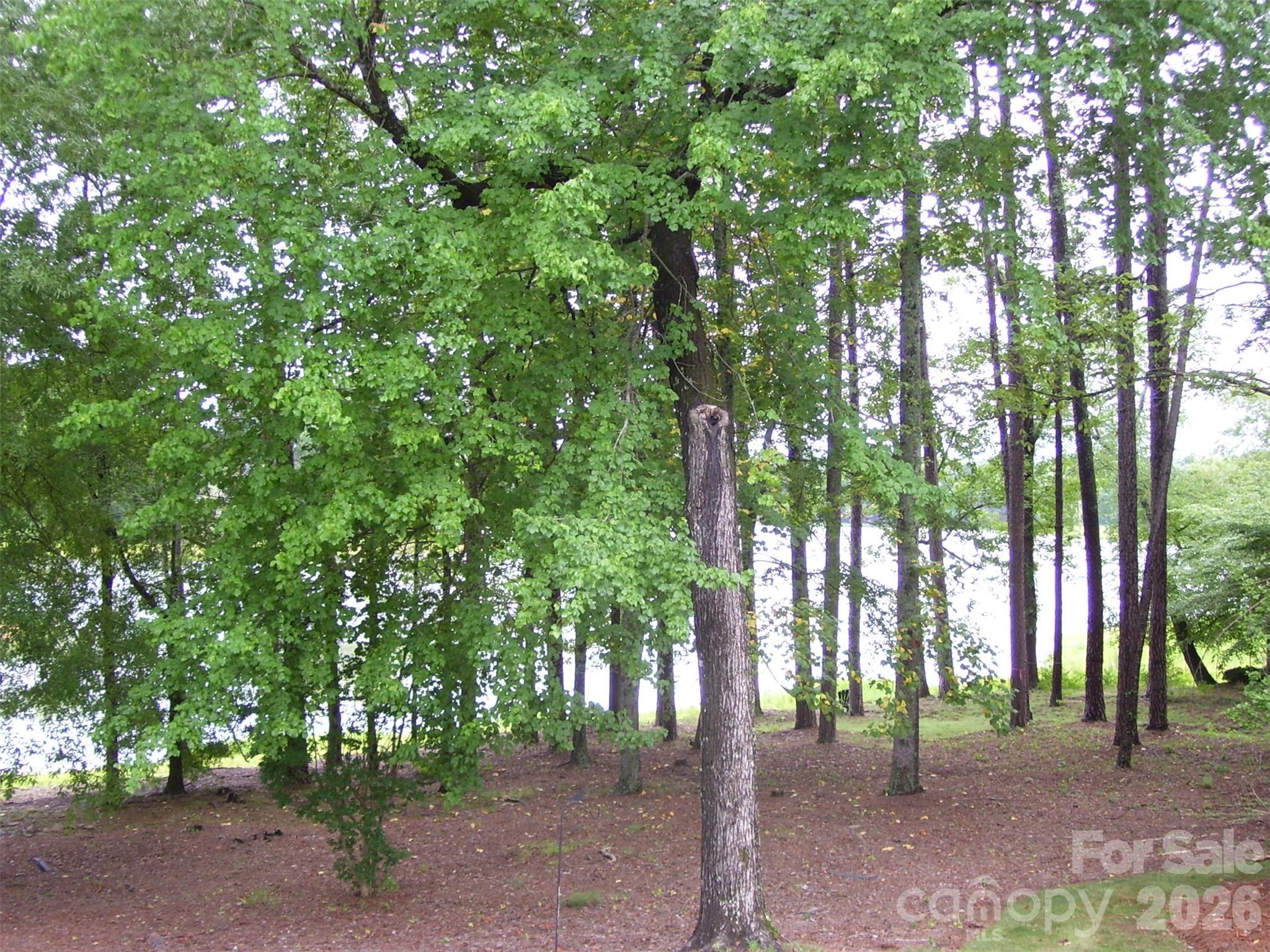 1859 Wetherburn Drive Property Photo 32