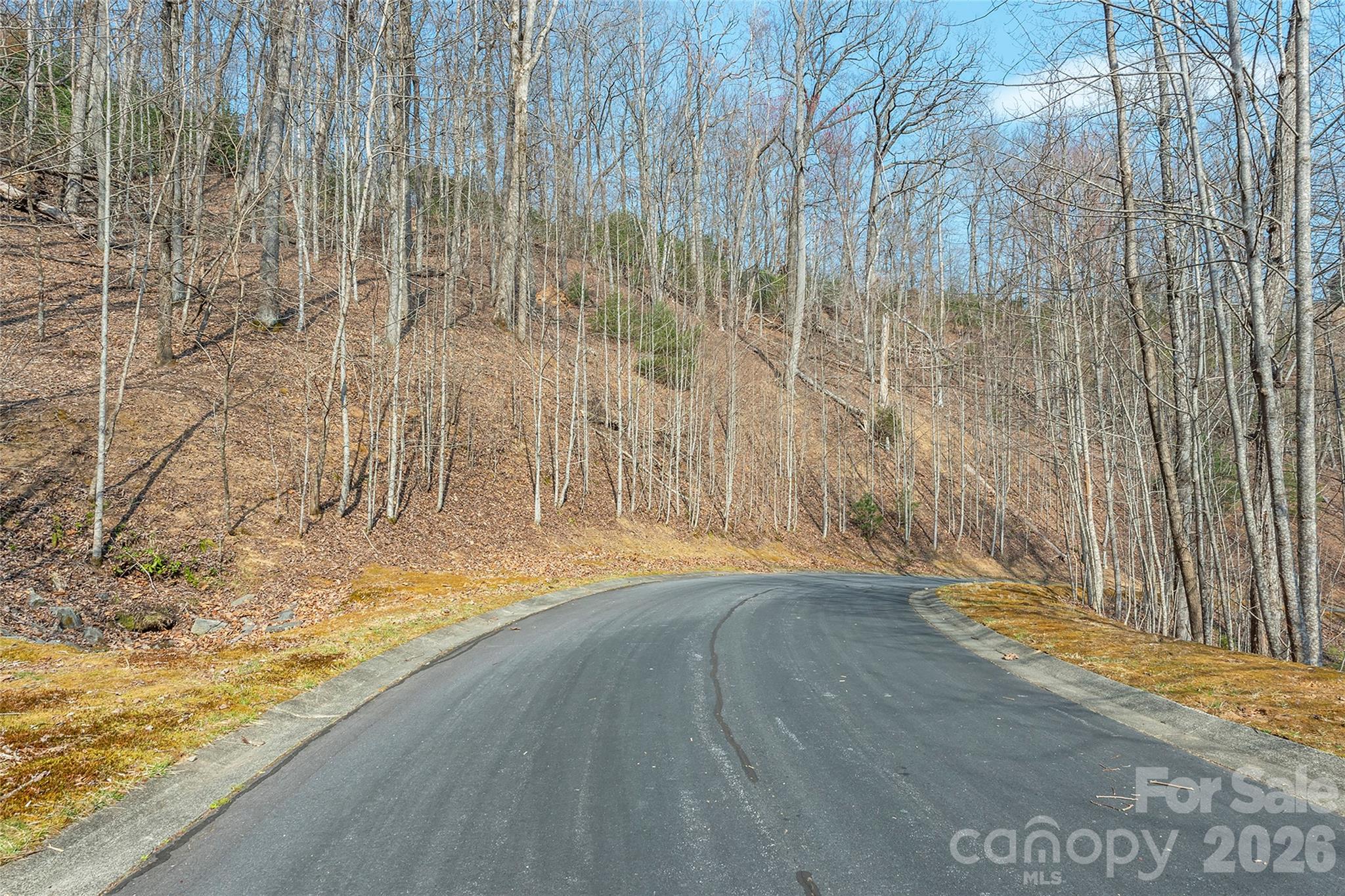 Lot 11 Shining Rock Path Property Photo 1