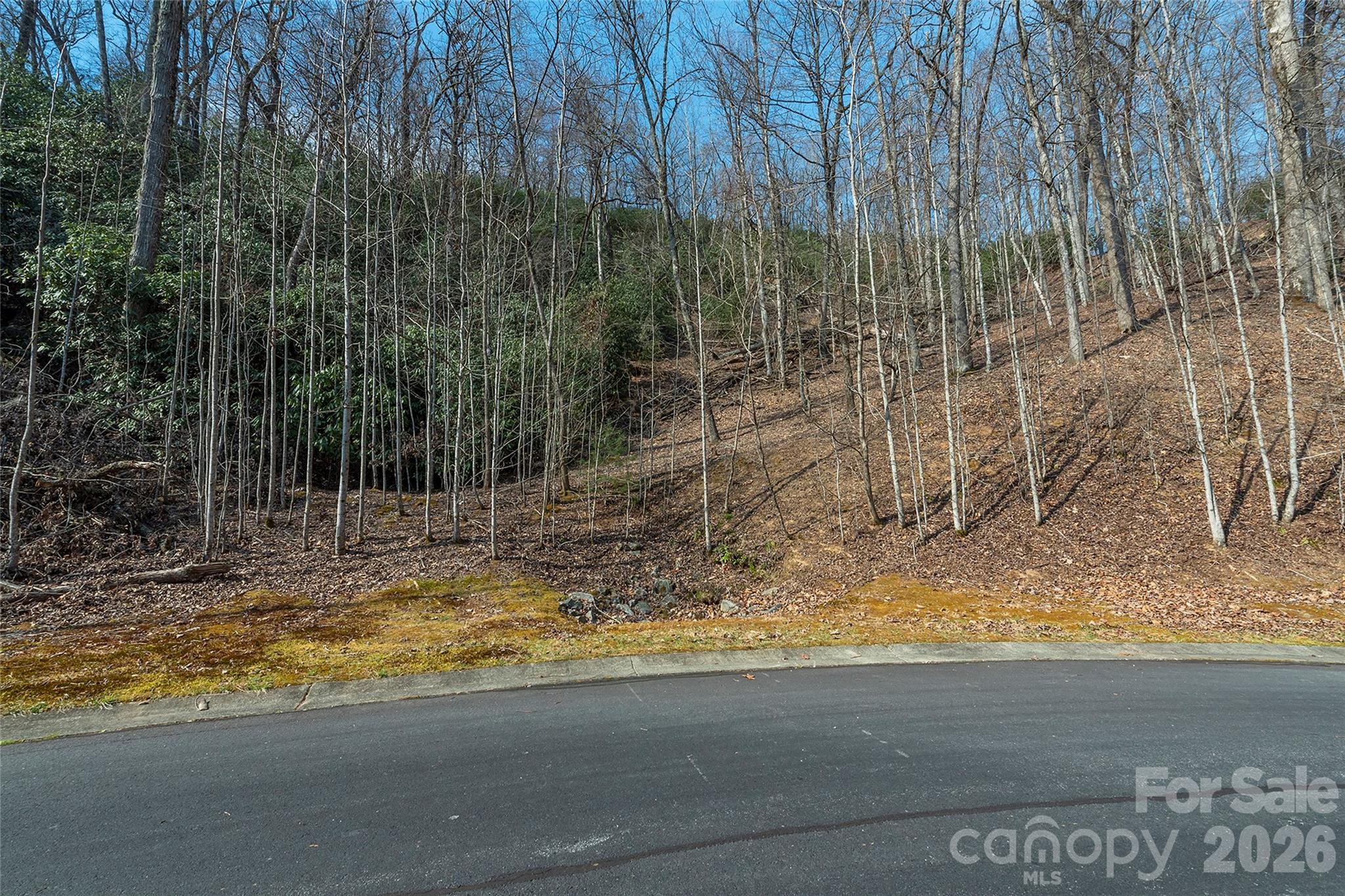 Lot 11 Shining Rock Path Property Photo 3