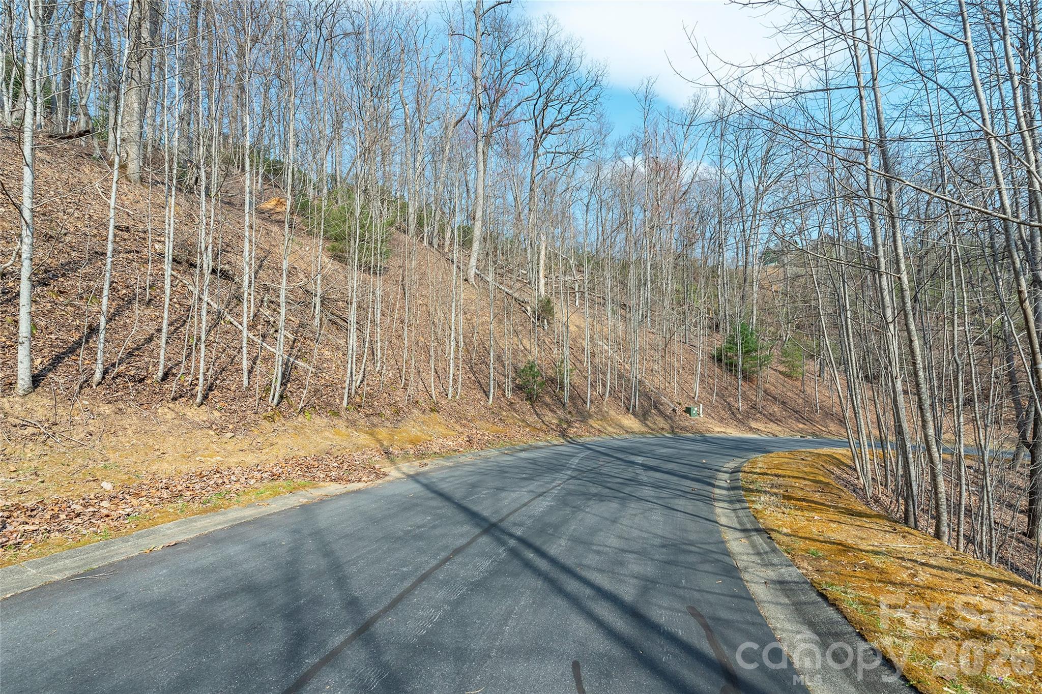 Lot 11 Shining Rock Path Property Photo 9