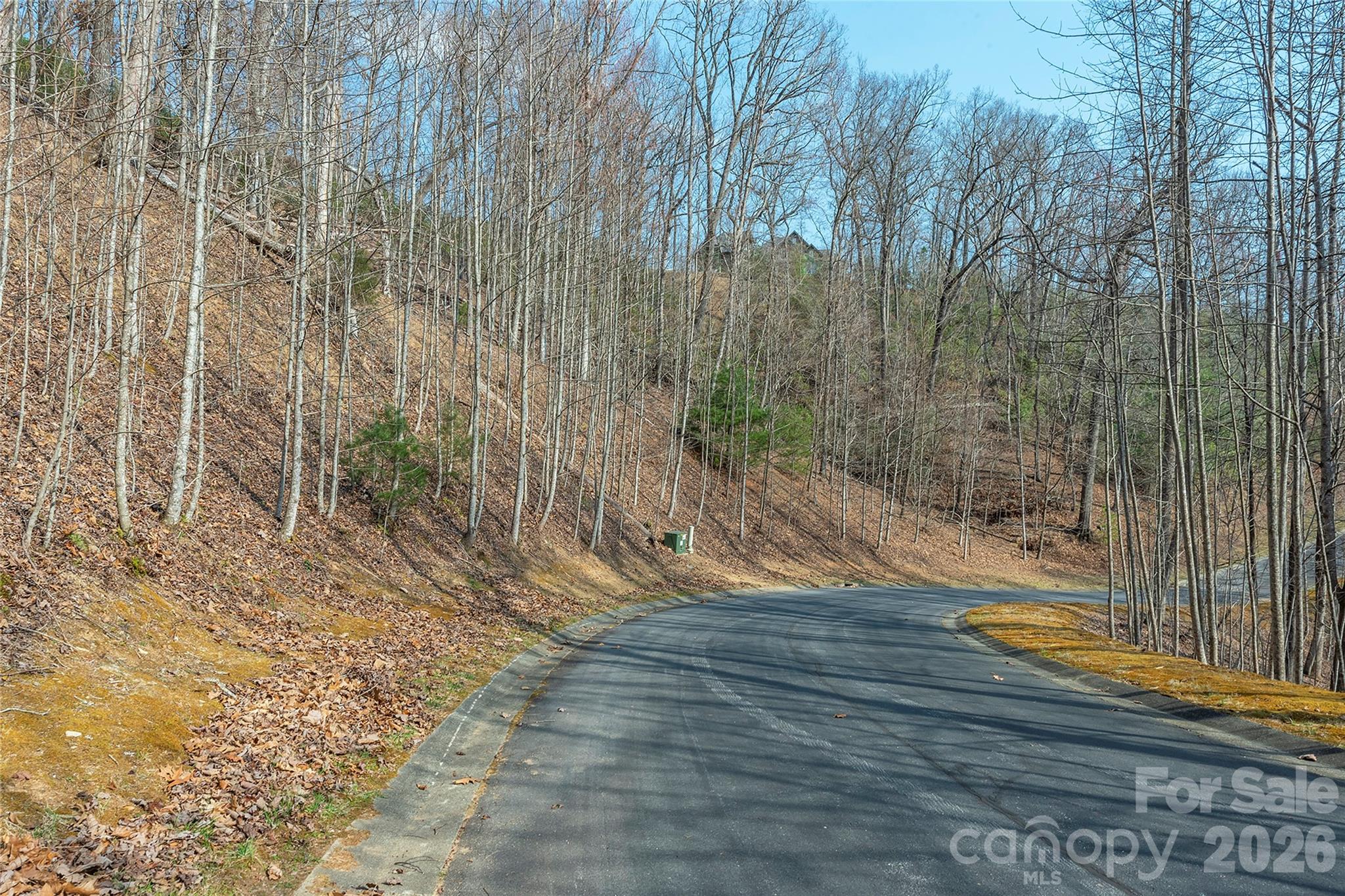 Lot 11 Shining Rock Path Property Photo 10