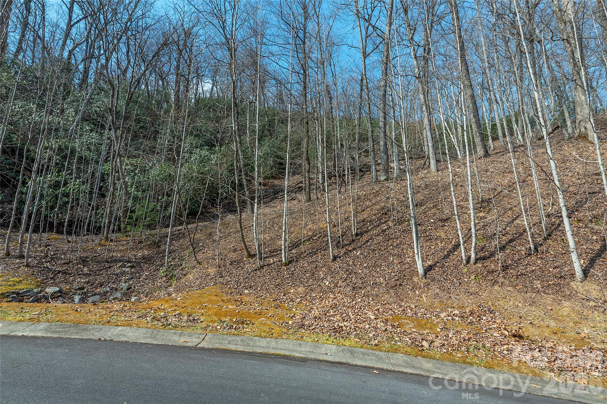 Lot 11 Shining Rock Path Property Photo 11