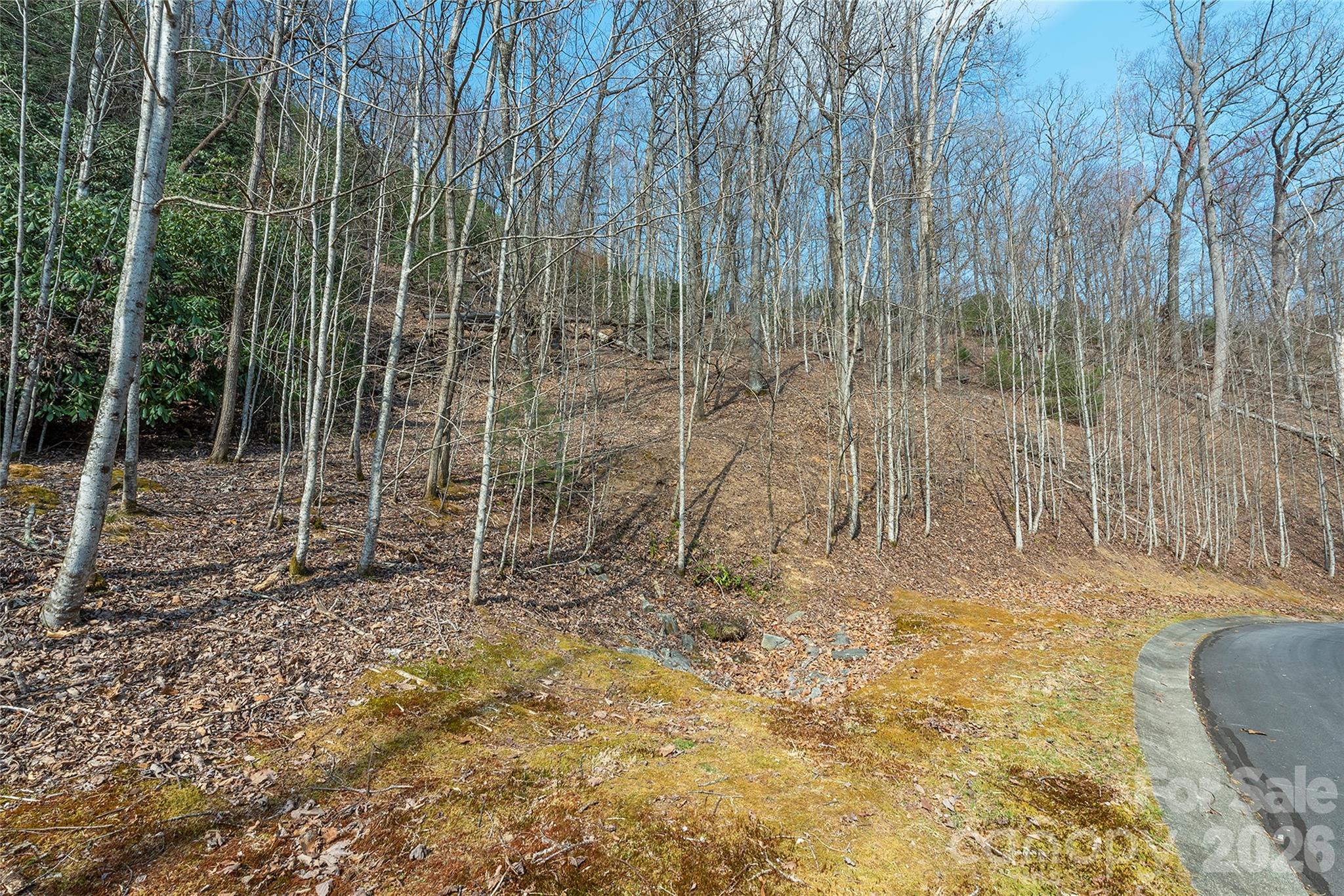 Lot 11 Shining Rock Path Property Photo 12