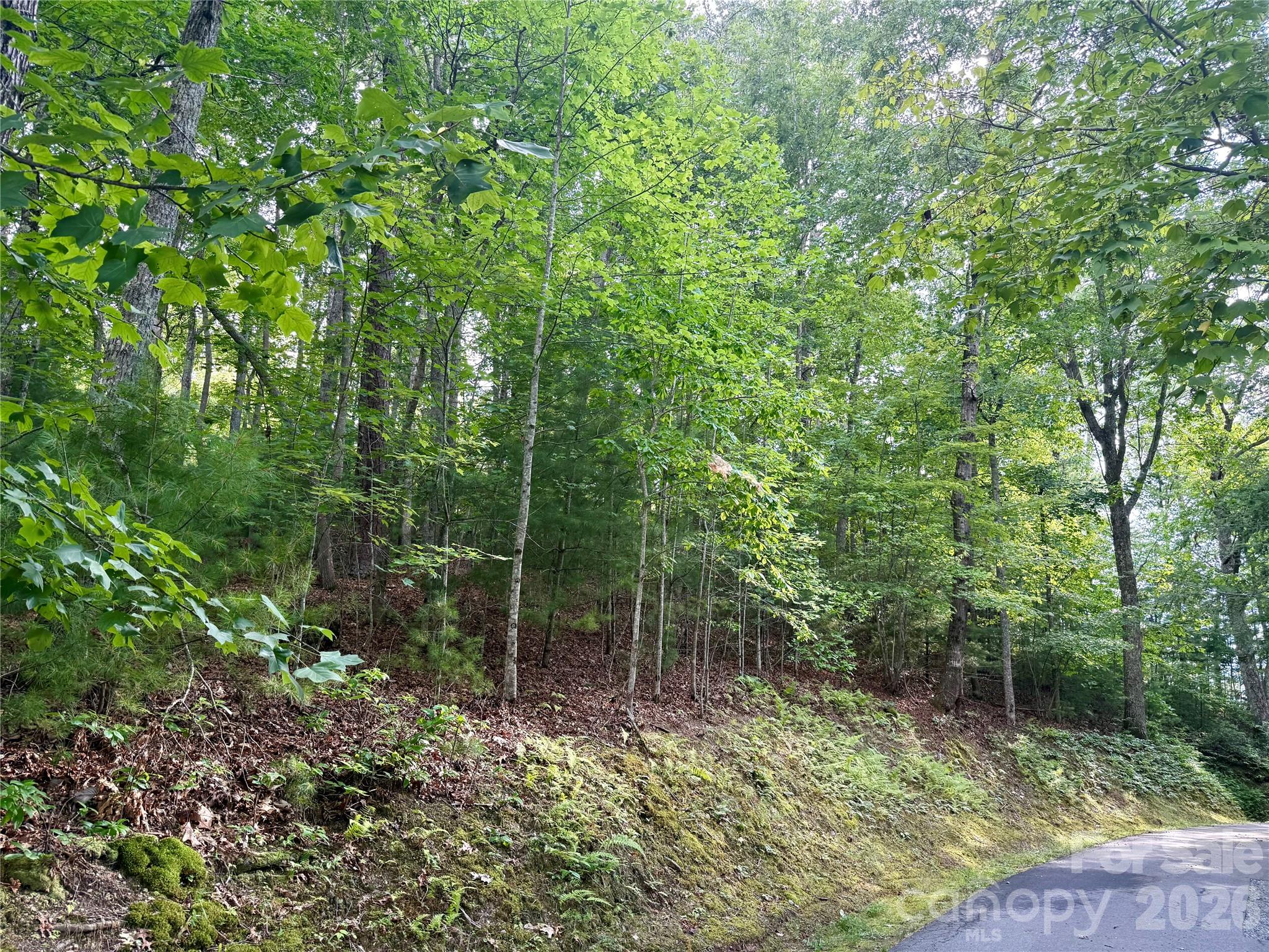 75 Longview Court 4 Property Photo 1