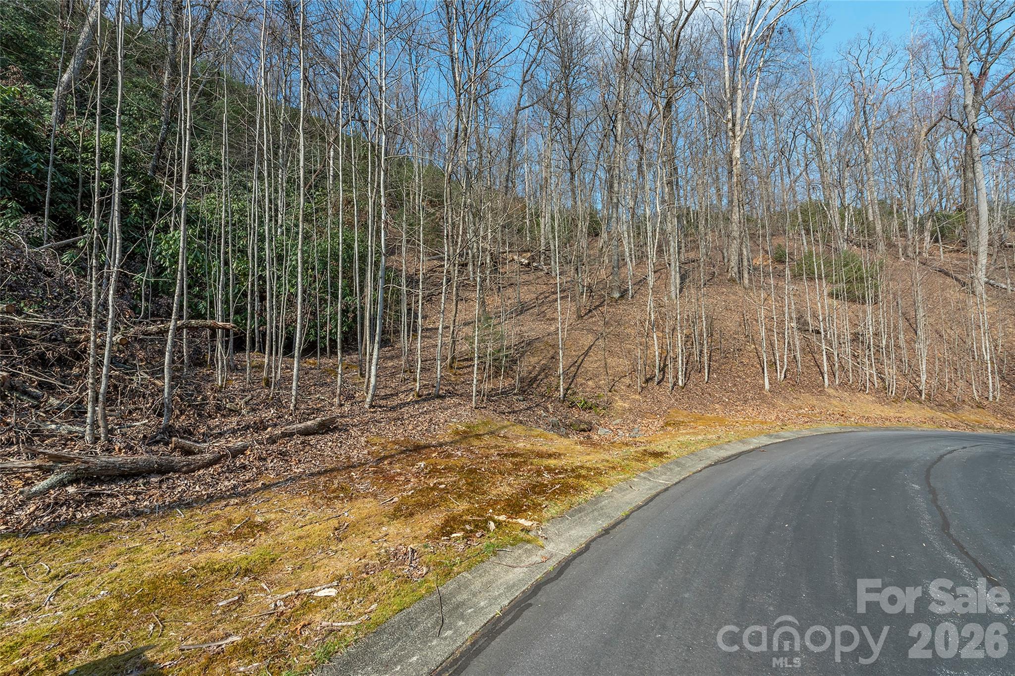 Lot 12 Shining Rock Path Property Photo 2