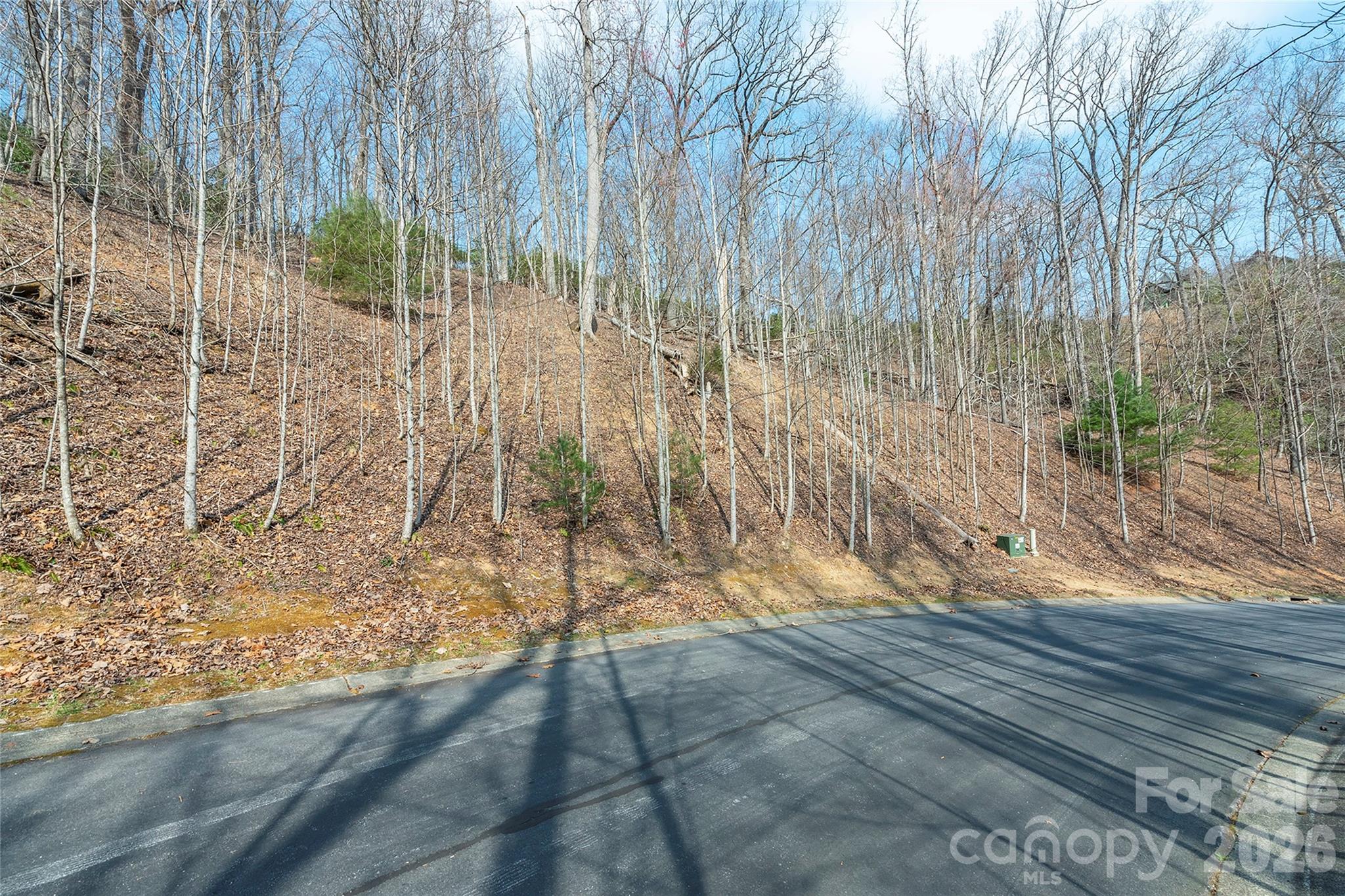 Lot 12 Shining Rock Path Property Photo 3