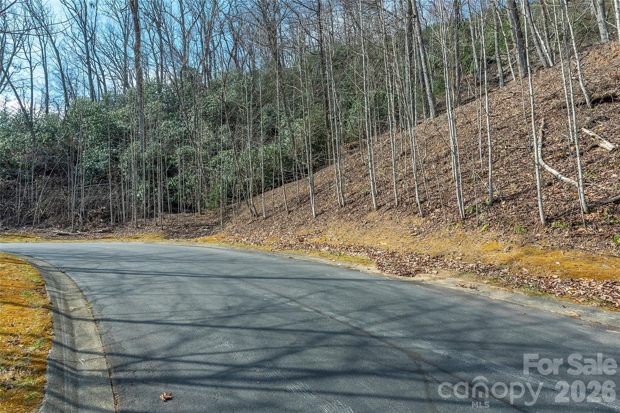 Lot 12 Shining Rock Path Property Photo 9