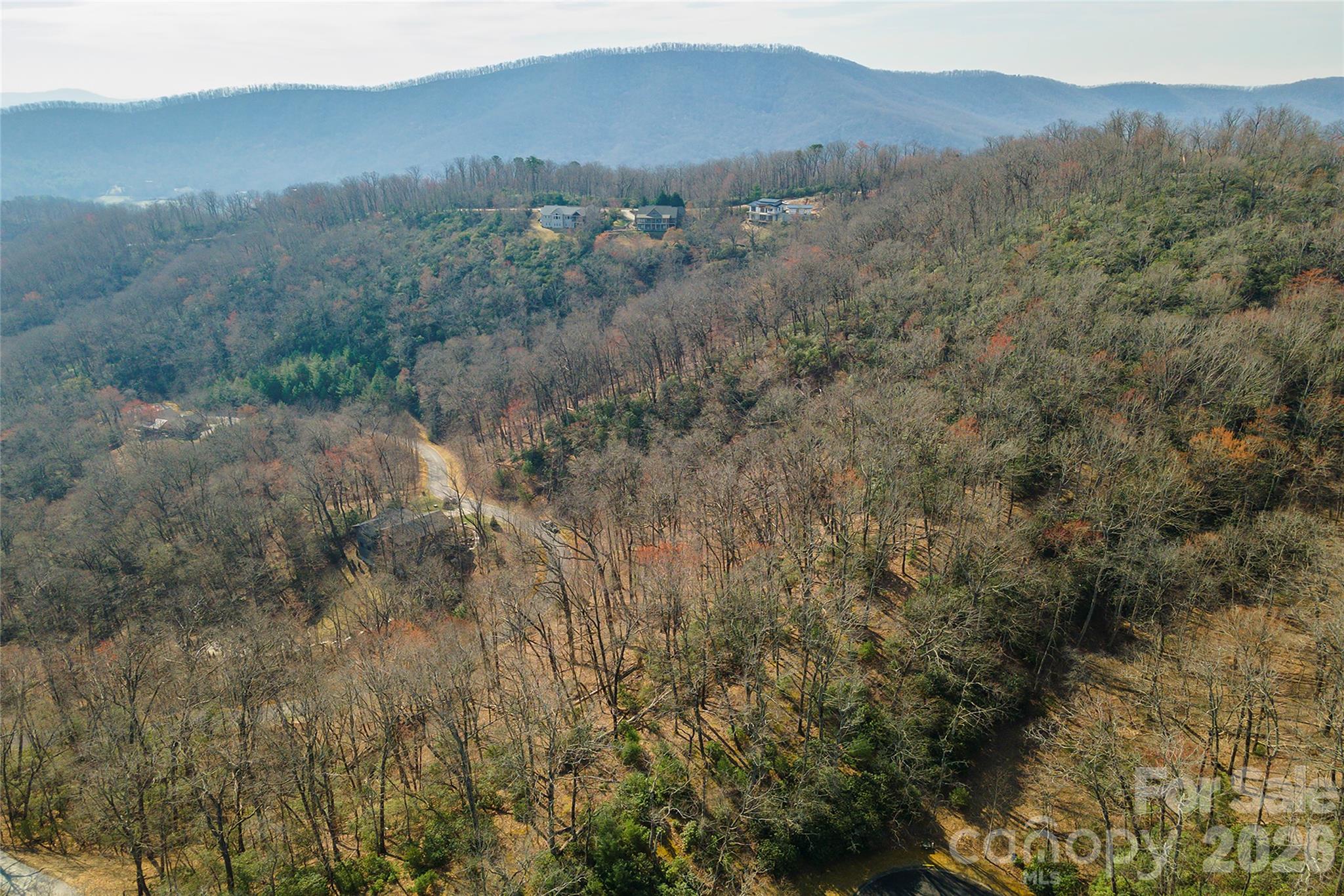 Lot 12 Shining Rock Path Property Photo 17