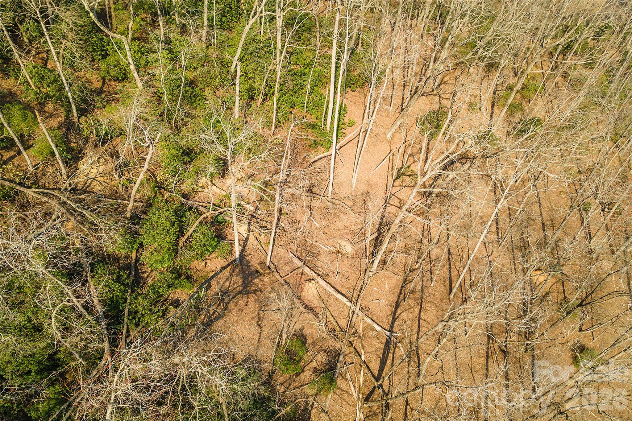 Lot 12 Shining Rock Path Property Photo 21