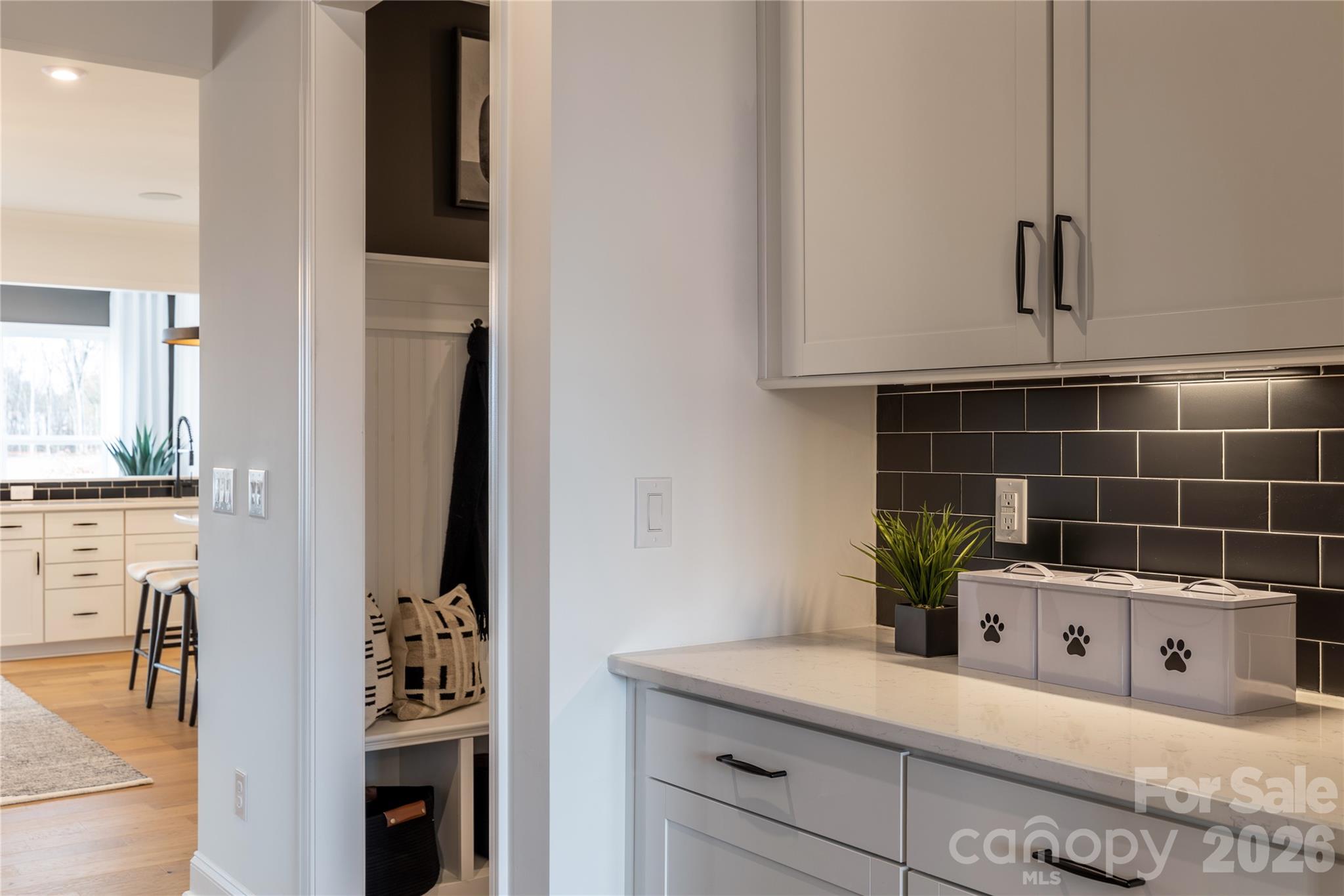 4702 Formation Court Property Photo 6