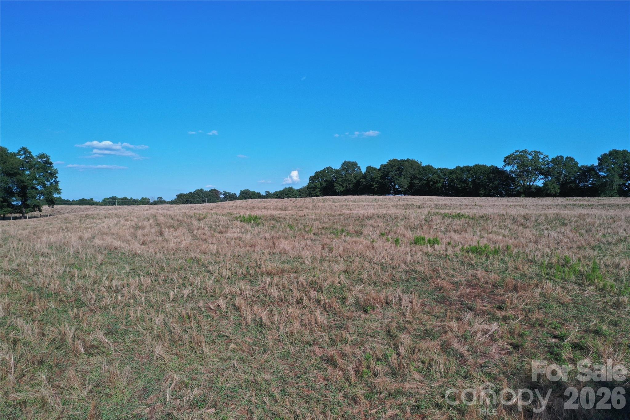 328 Sandy Run Church Road Property Photo 3