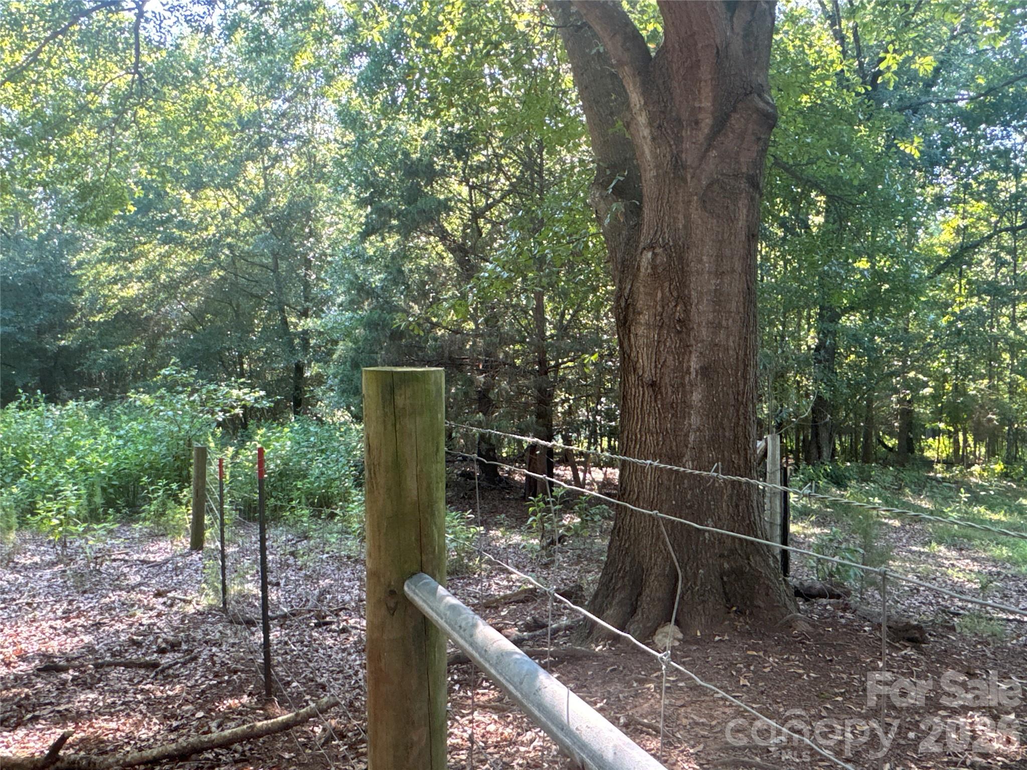 328 Sandy Run Church Road Property Photo 25