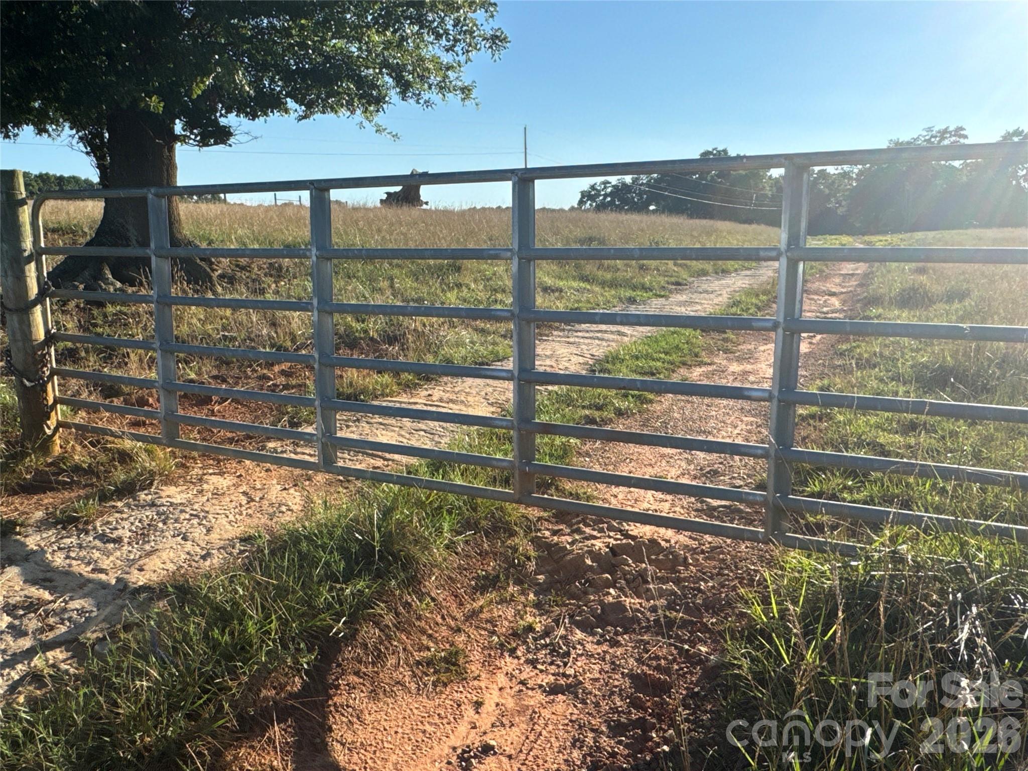328 Sandy Run Church Road Property Photo 29