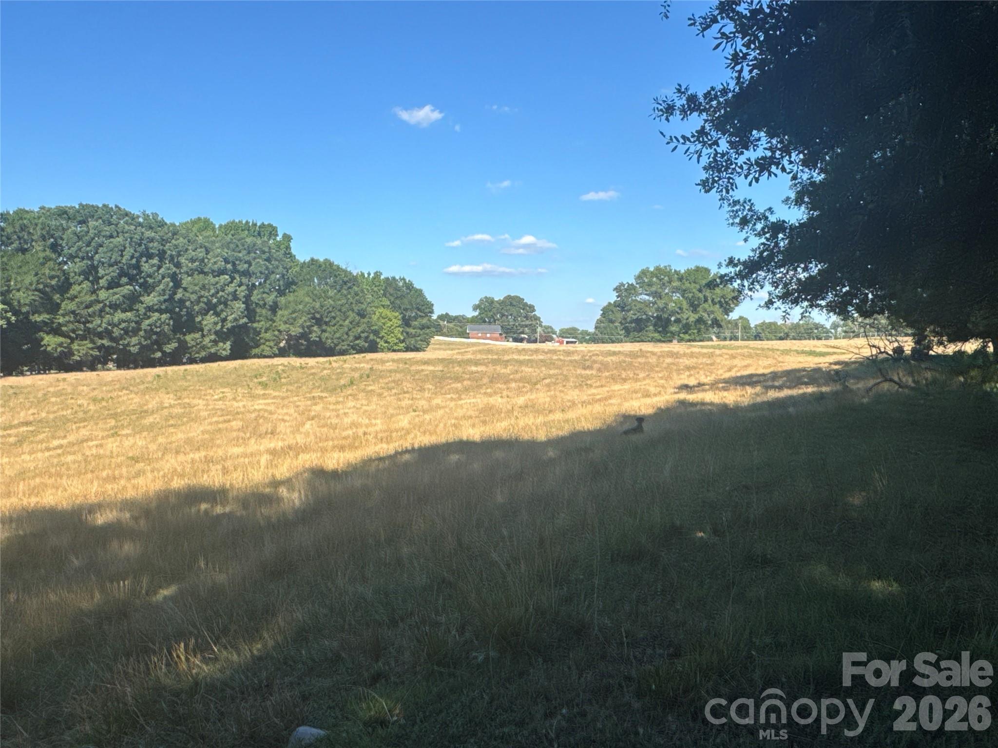 328 Sandy Run Church Road Property Photo 35