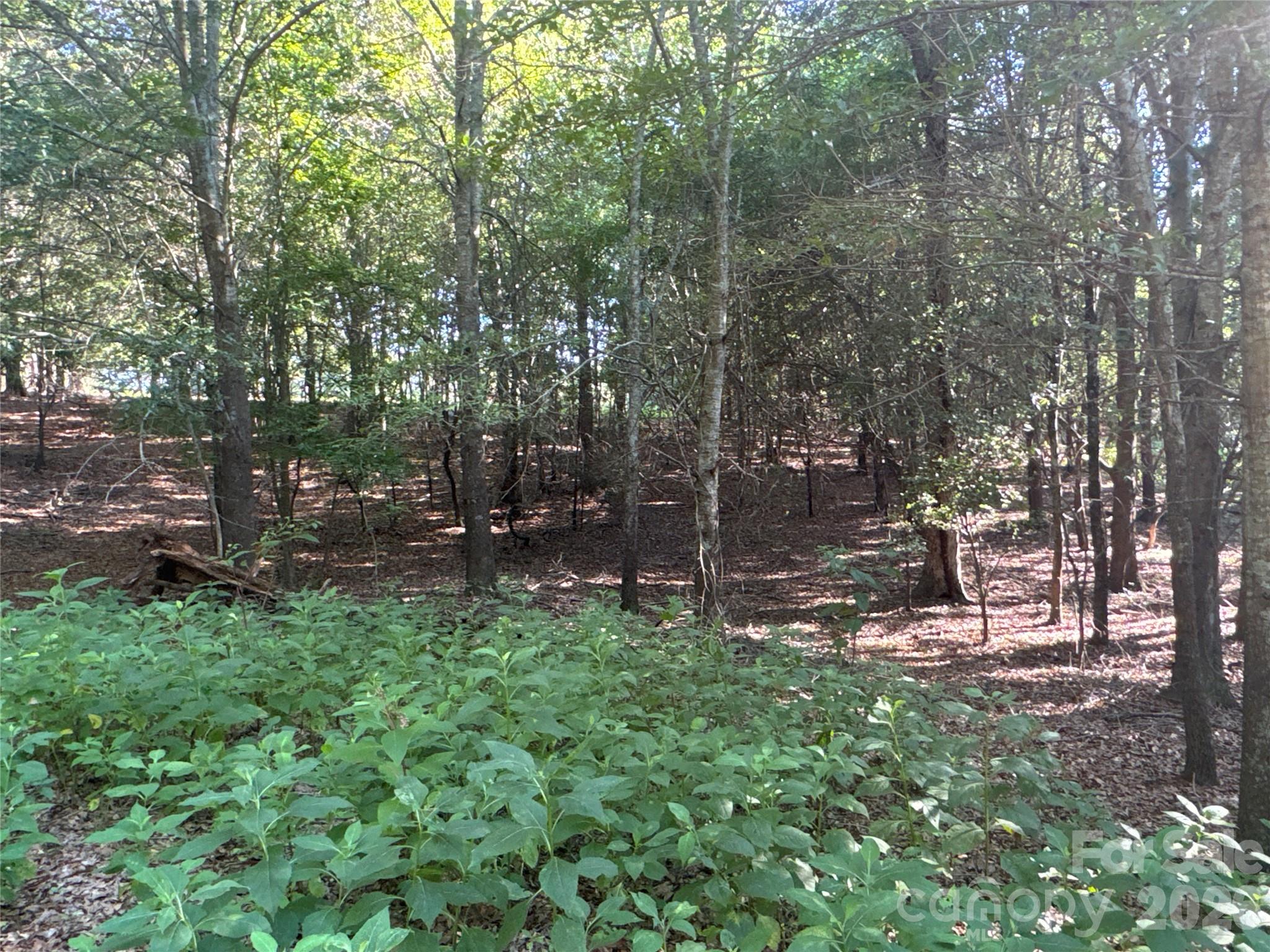 328 Sandy Run Church Road Property Photo 38