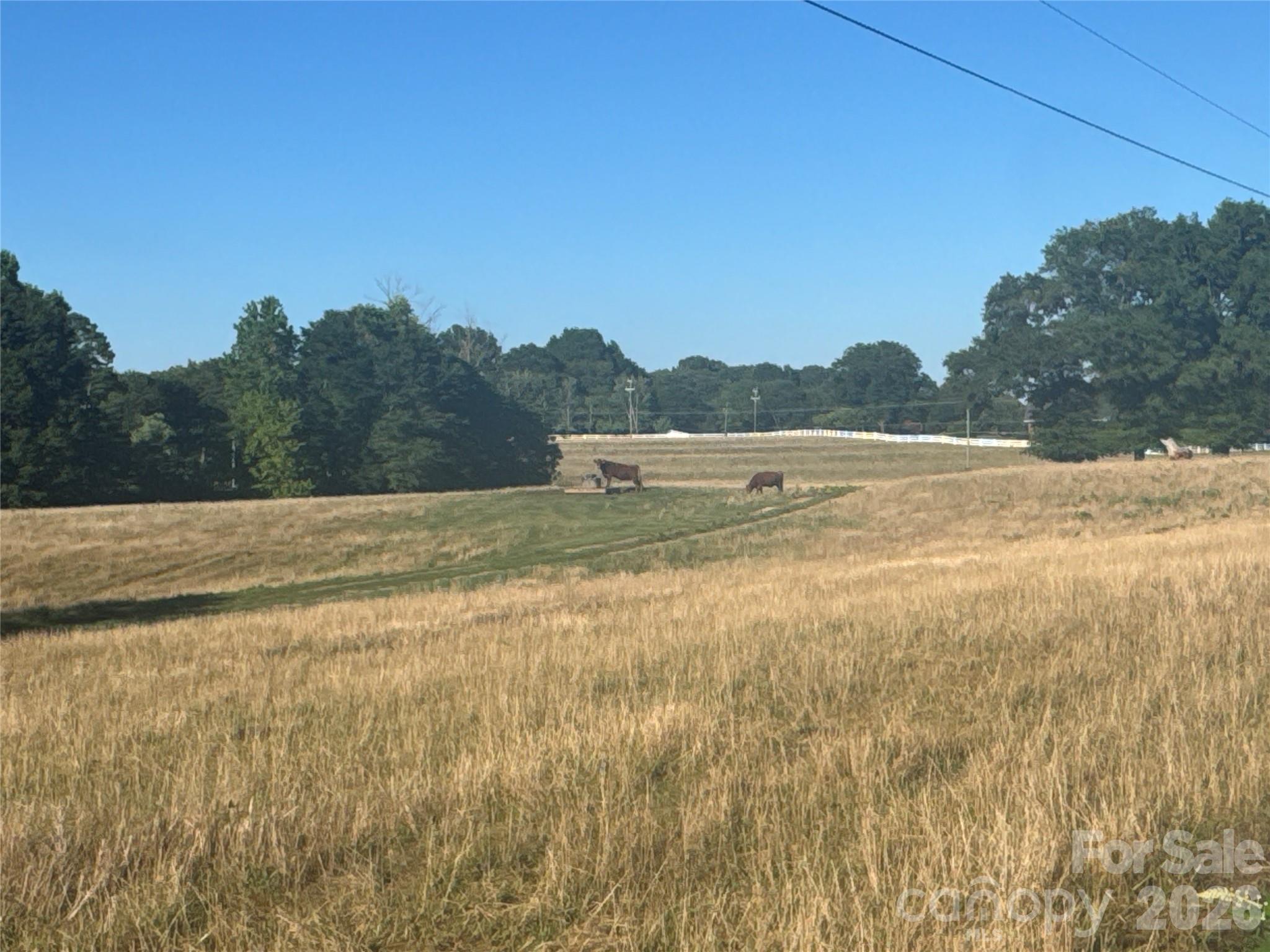 328 Sandy Run Church Road Property Photo 39