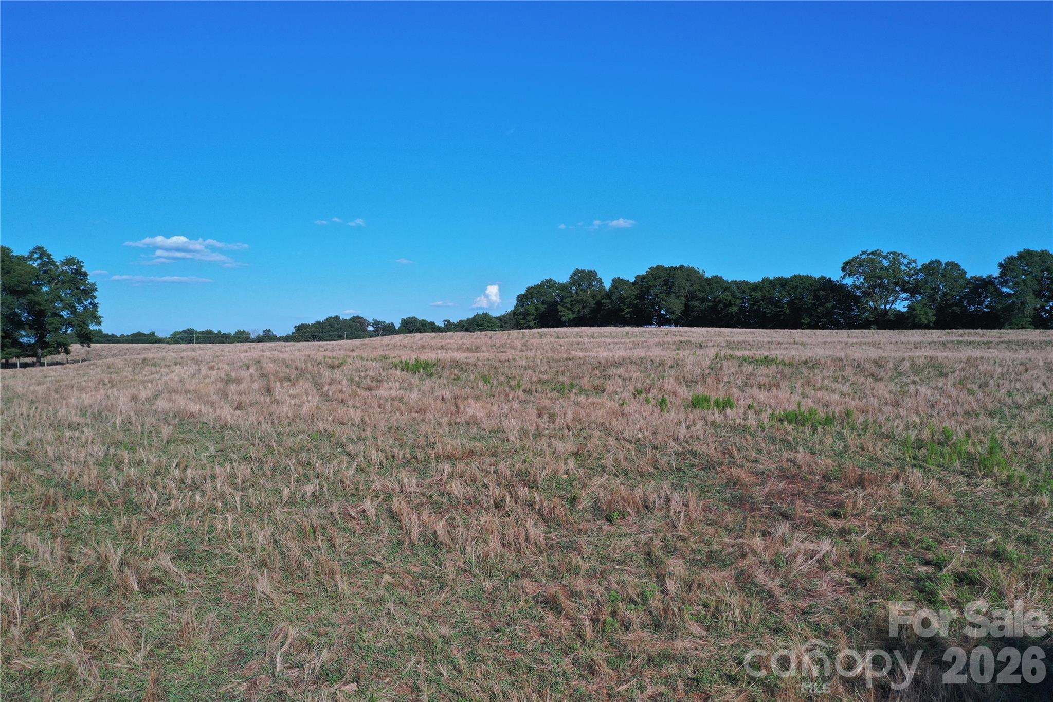 328 Sandy Run Church Road Property Photo 44