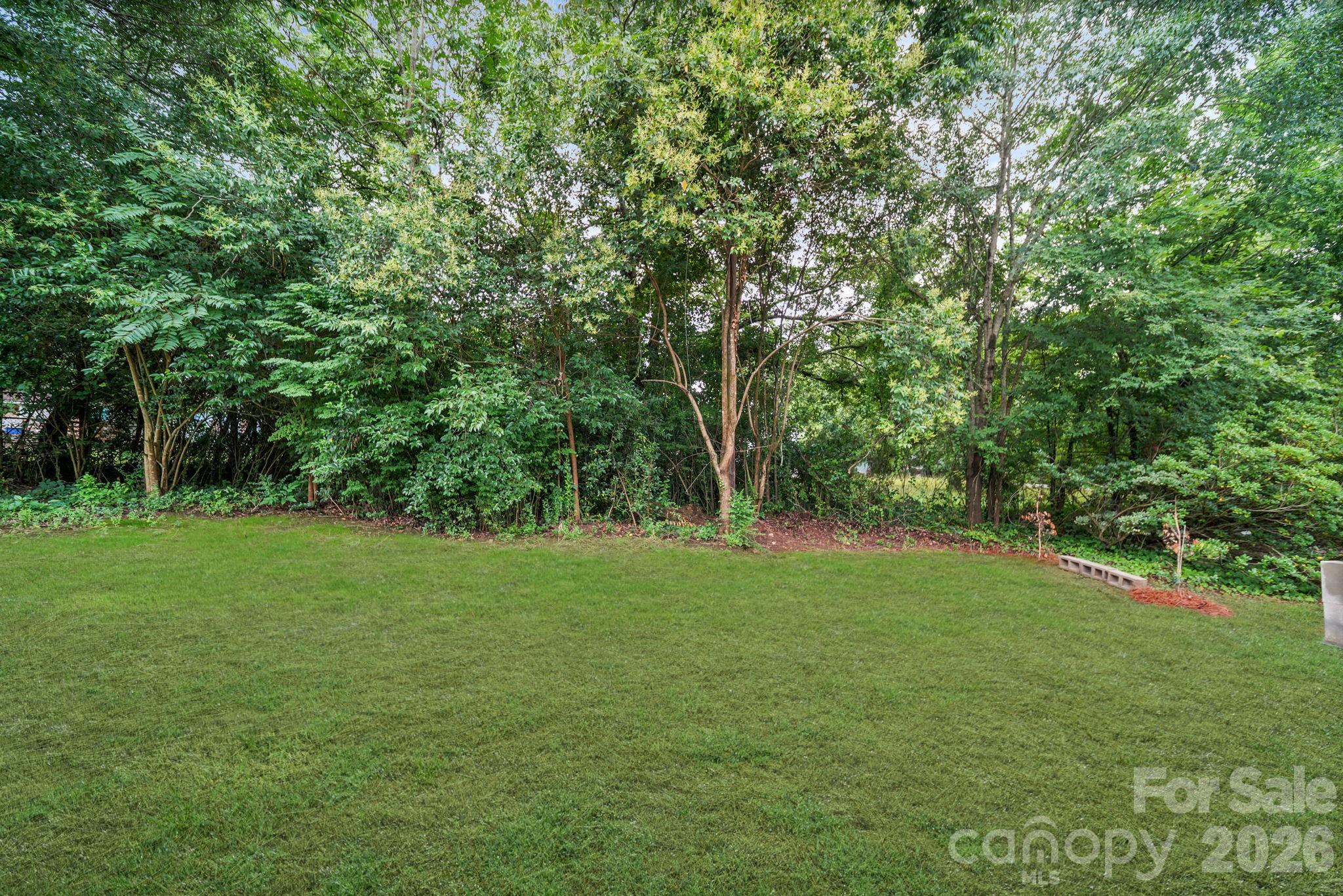 113.5 Graham Street Property Photo 20