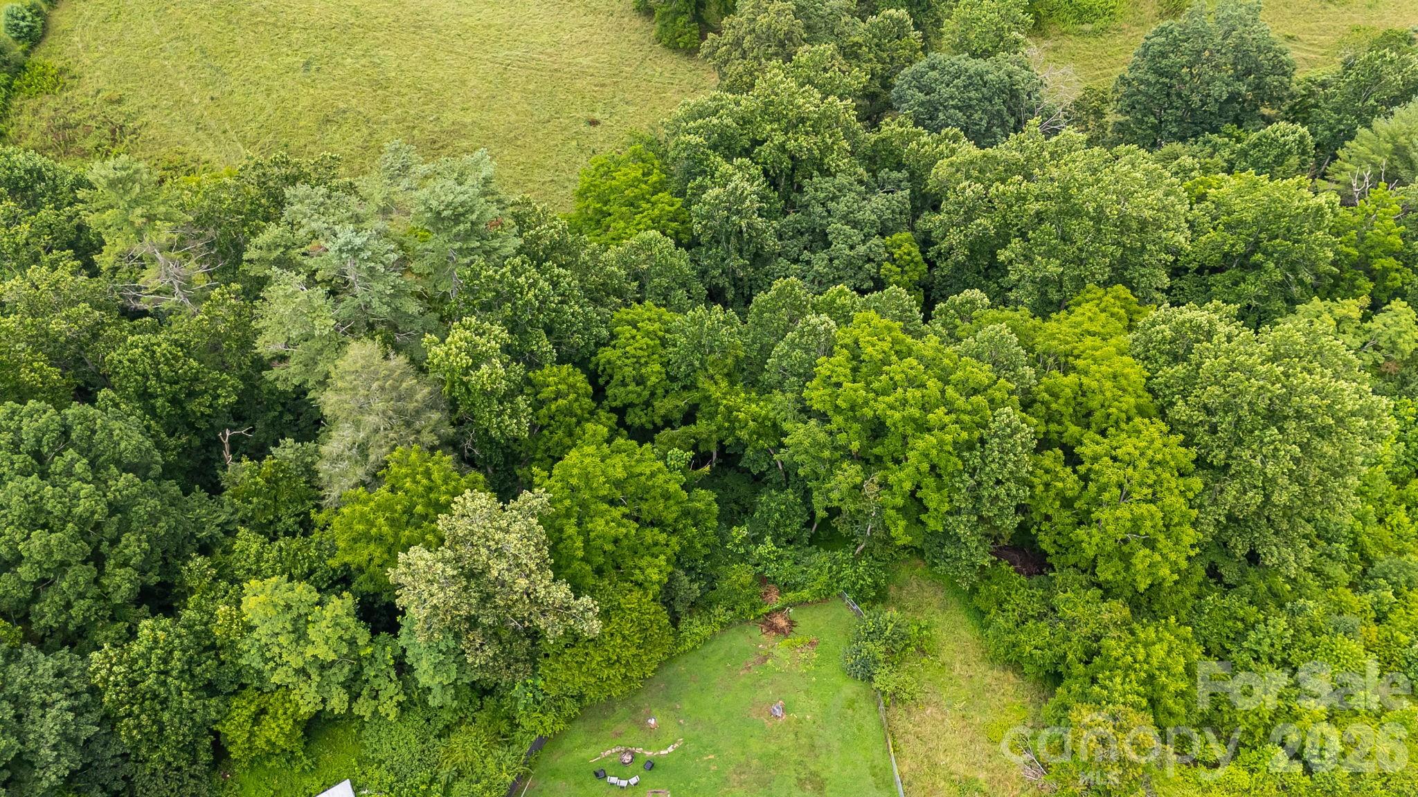9999 Old Nc 20 Highway Property Photo 10