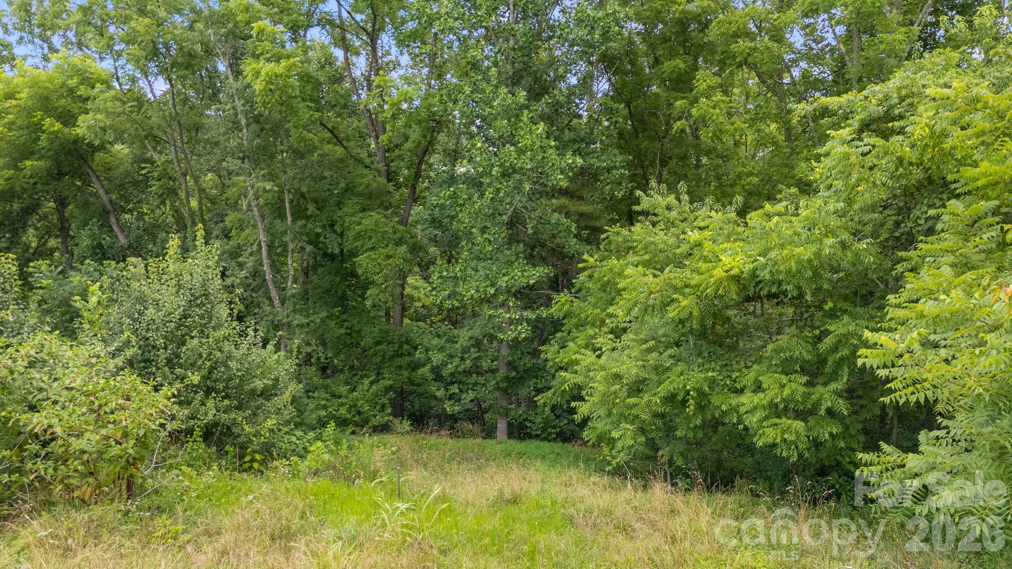 9999 Old Nc 20 Highway Property Photo 13