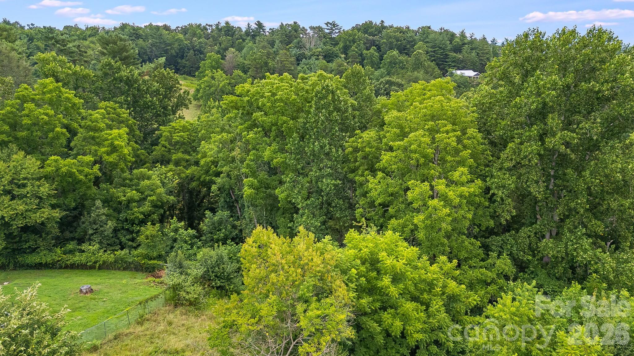 9999 Old Nc 20 Highway Property Photo 17