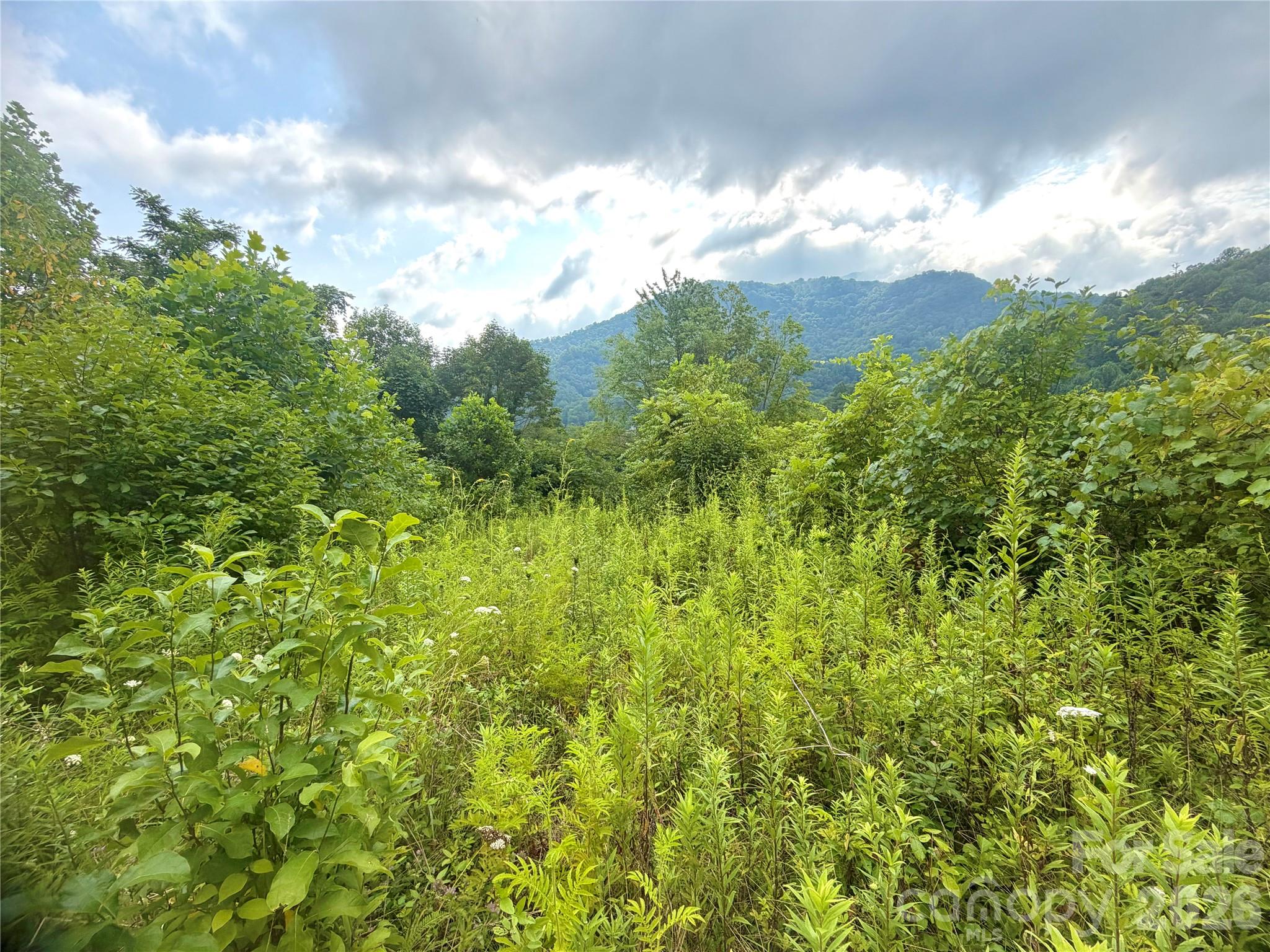 00 Trillium Way Property Photo 5