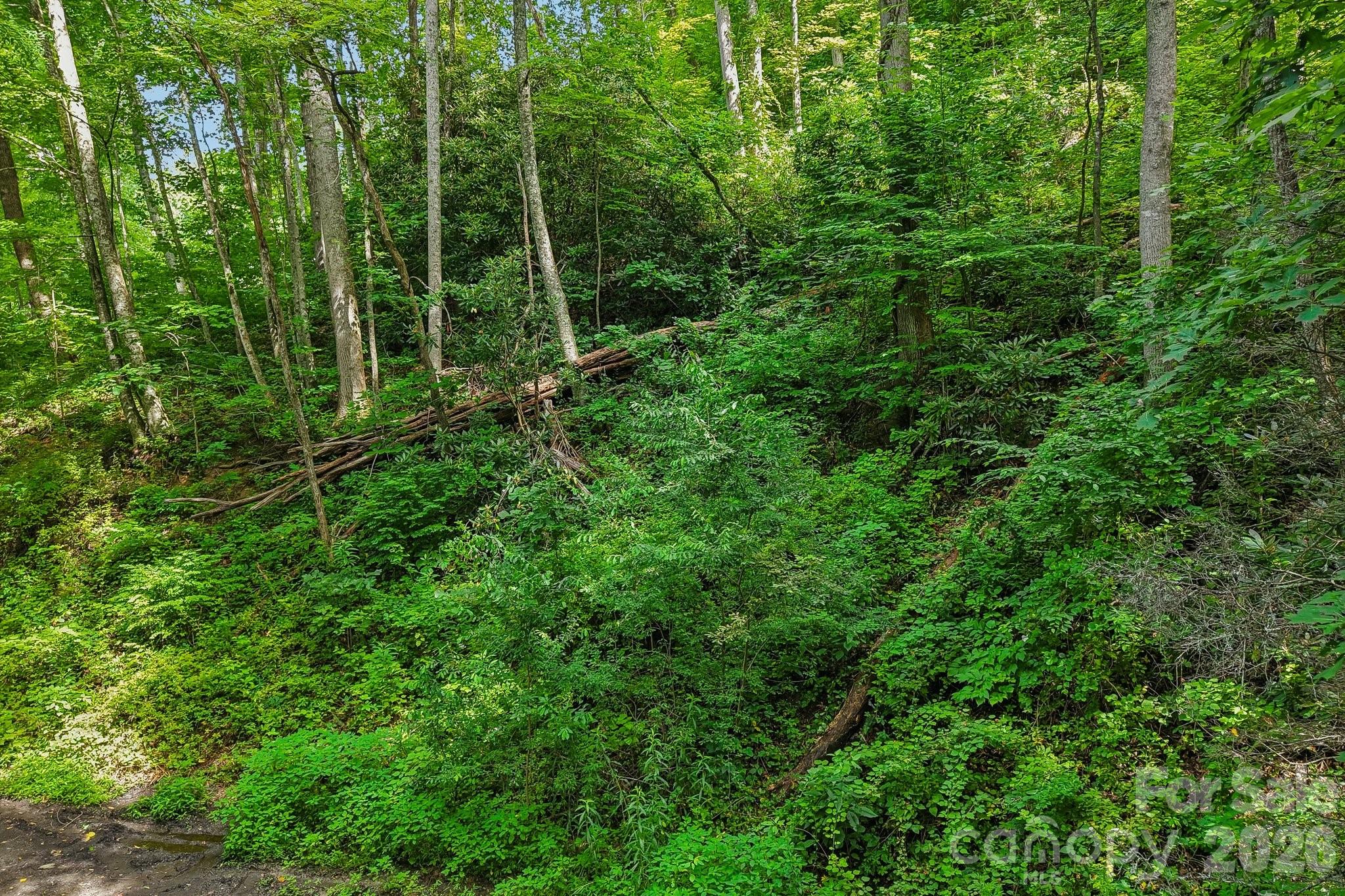 Tbd Indian Falls Road Property Photo 2