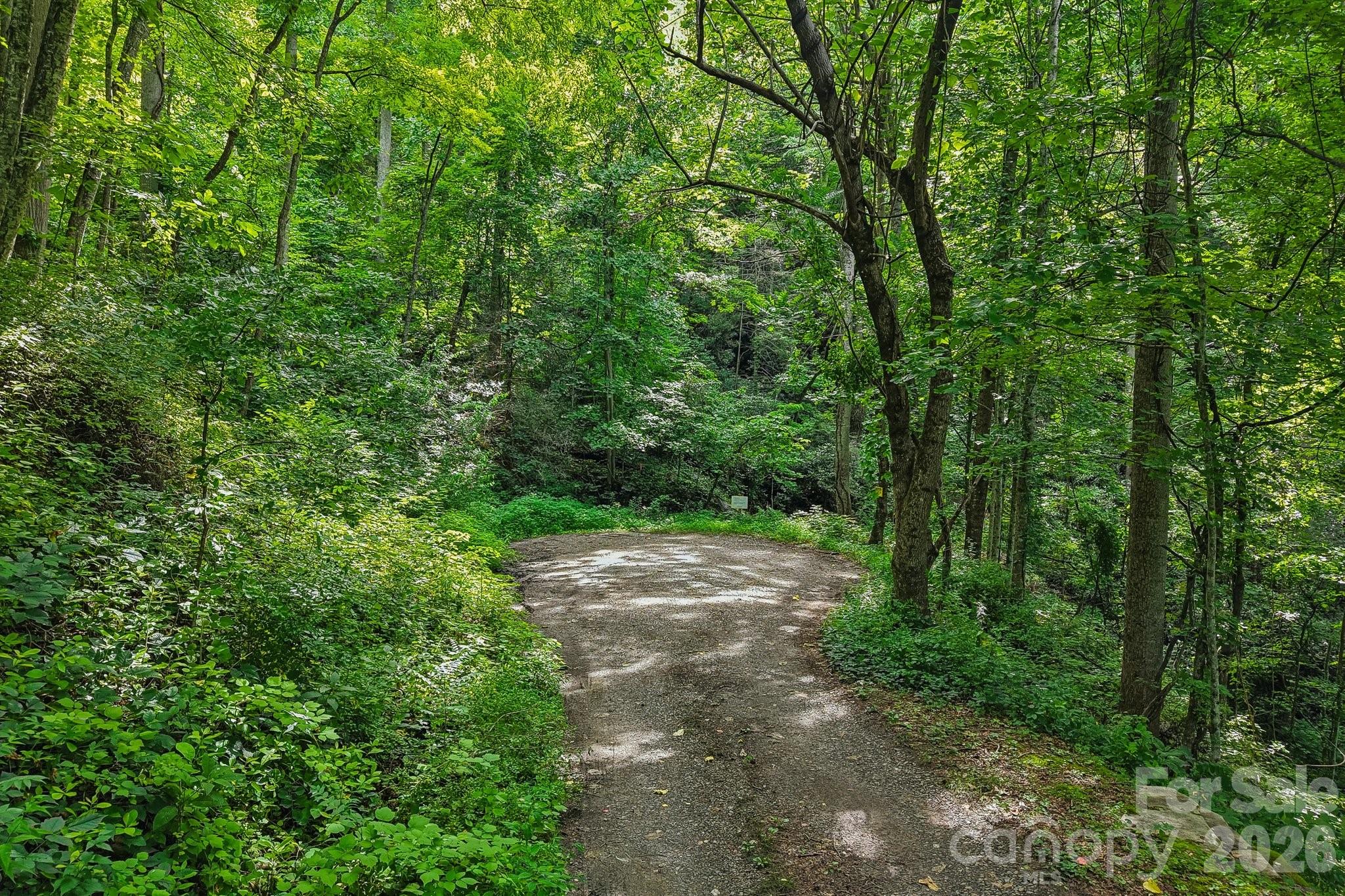 Tbd Indian Falls Road Property Photo 3