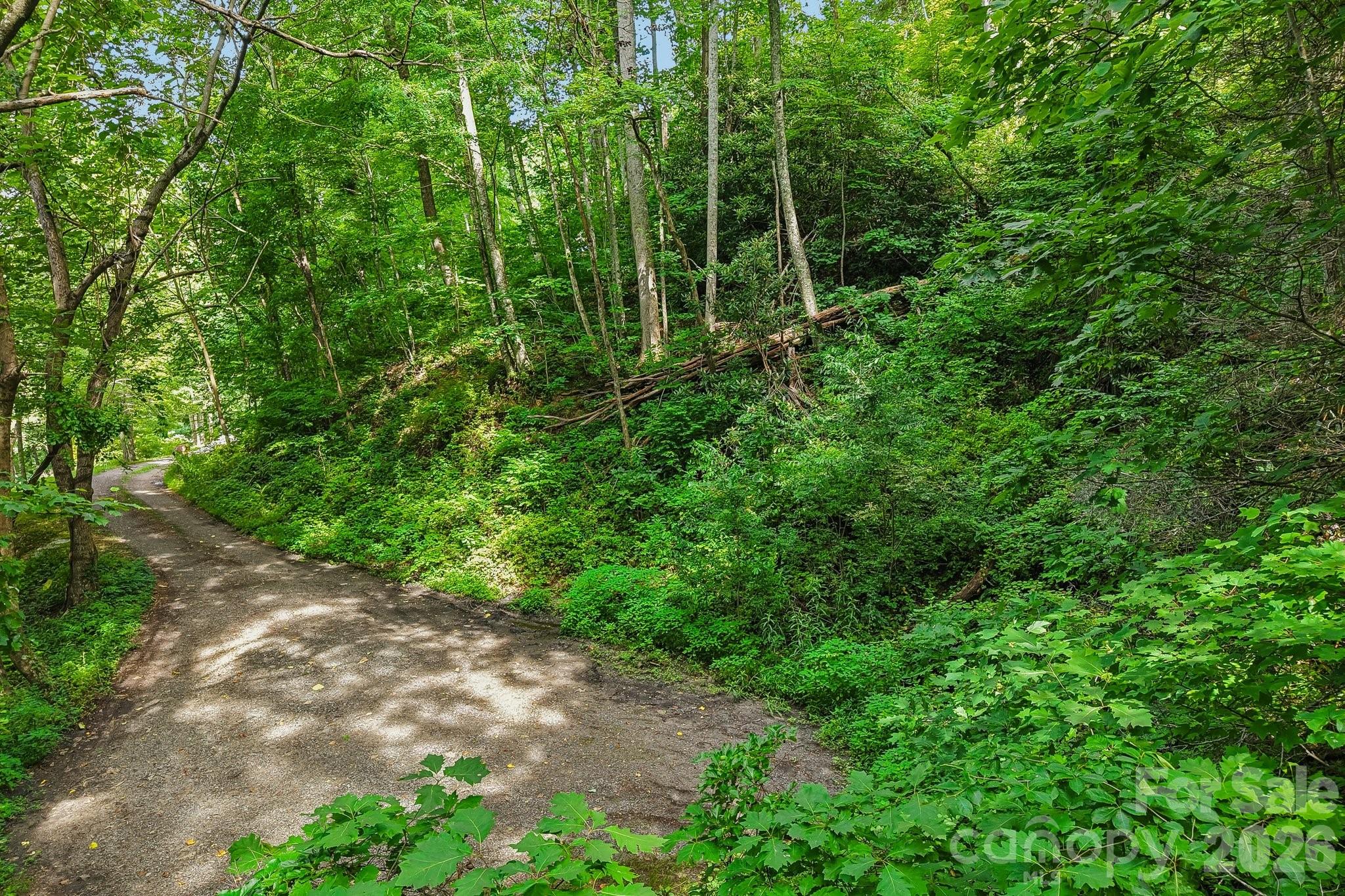 Tbd Indian Falls Road Property Photo 4