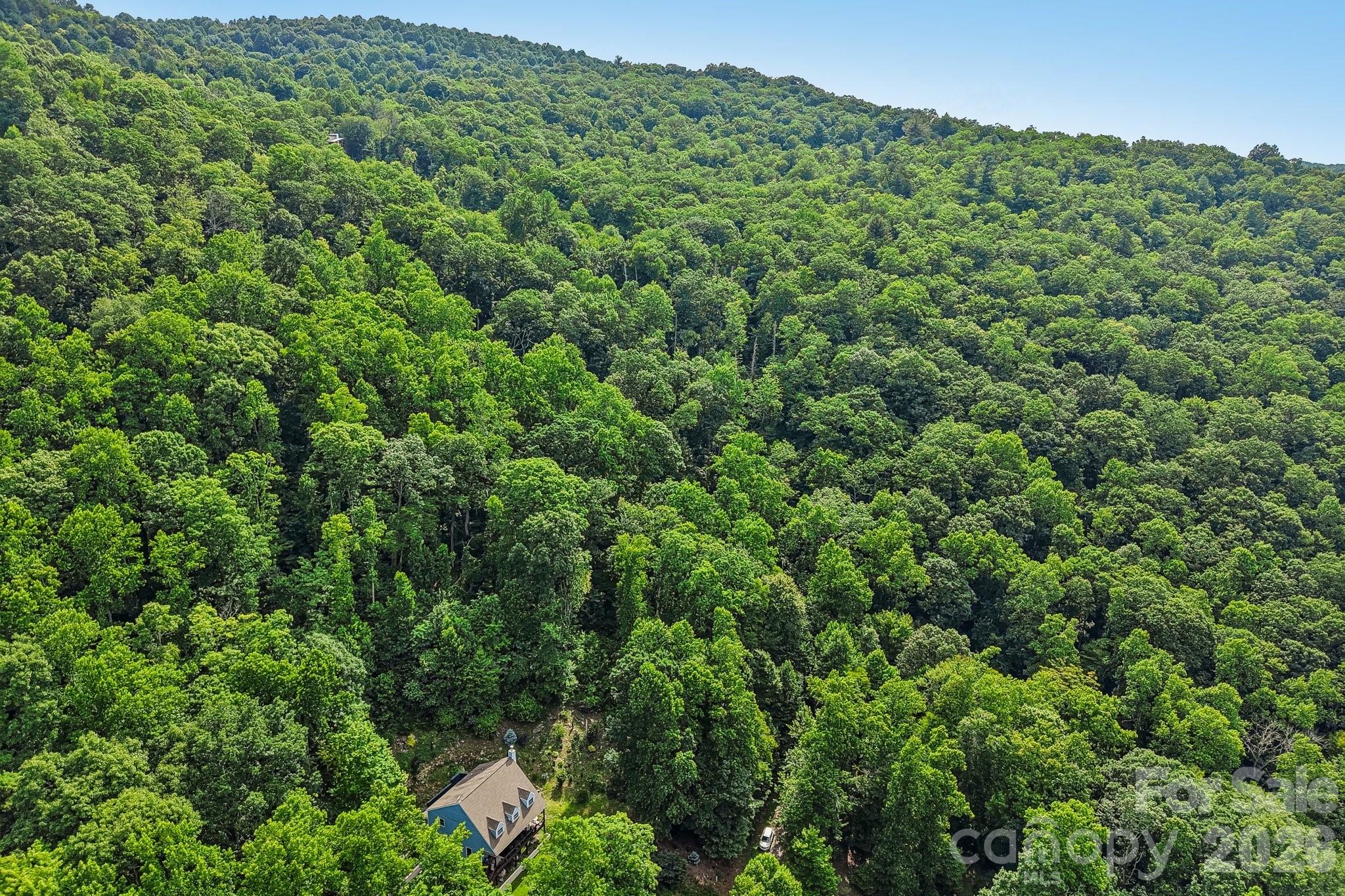 Tbd Indian Falls Road Property Photo 5