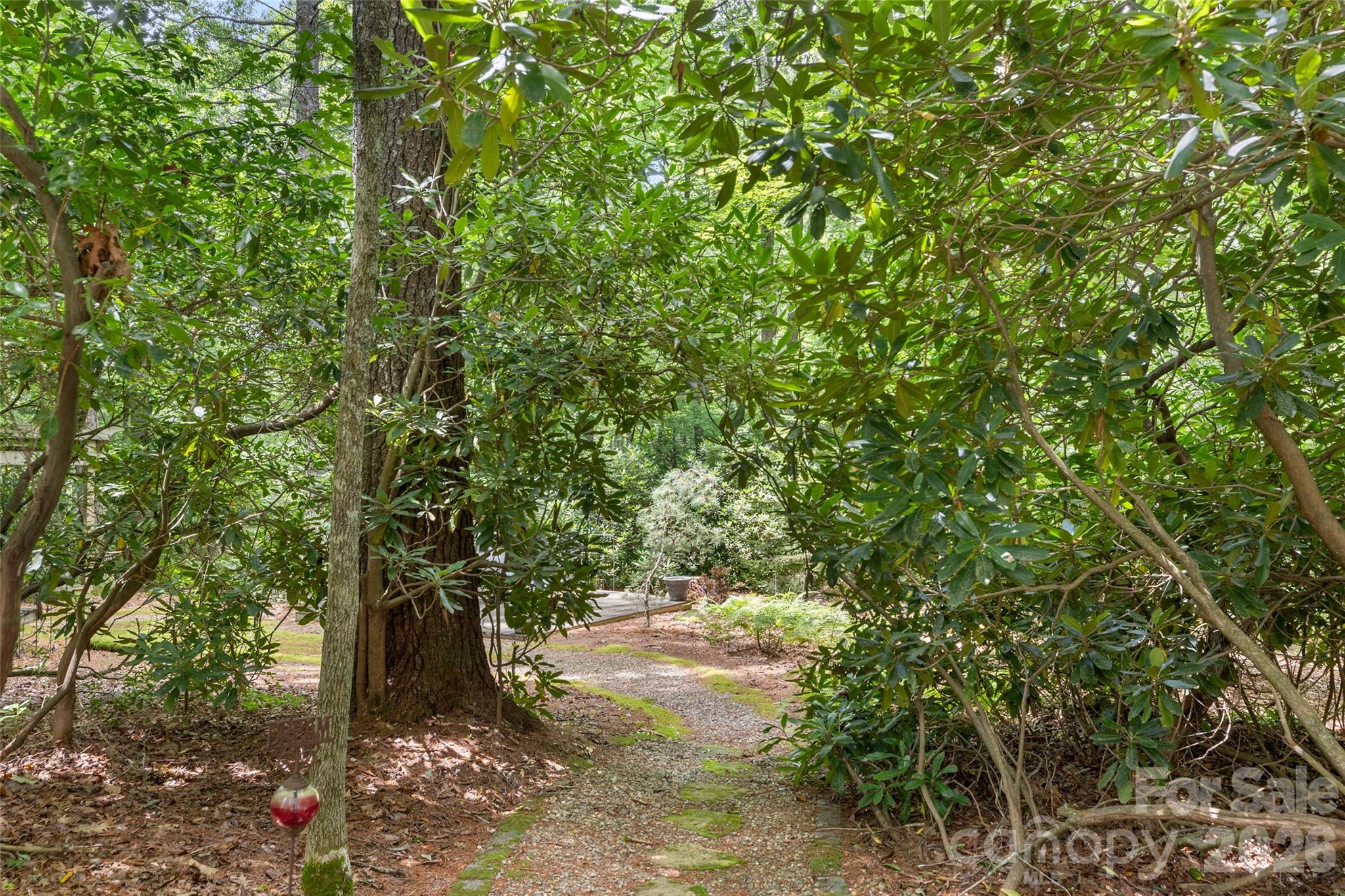 141 Dolly Lane Property Photo 34