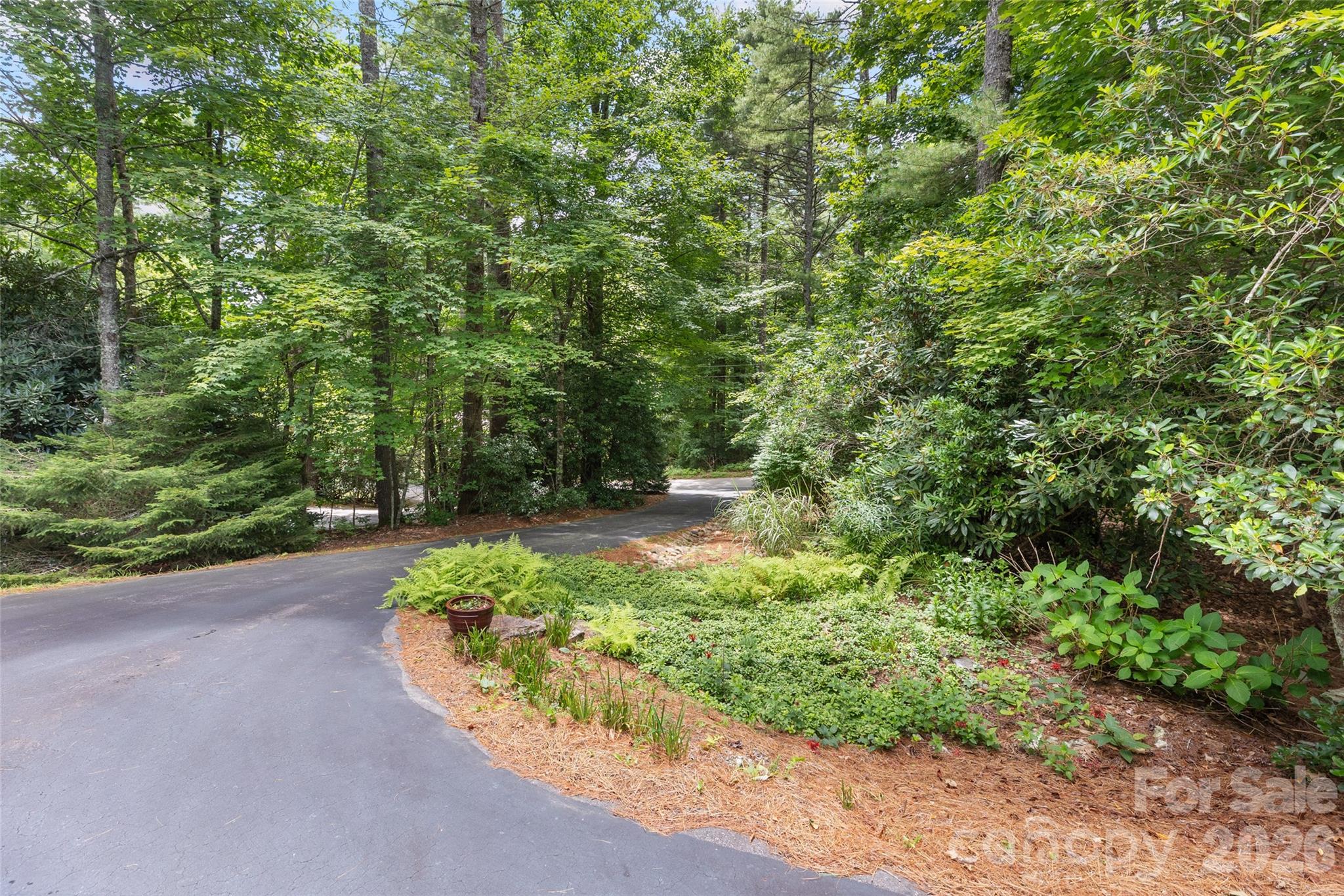 141 Dolly Lane Property Photo 43