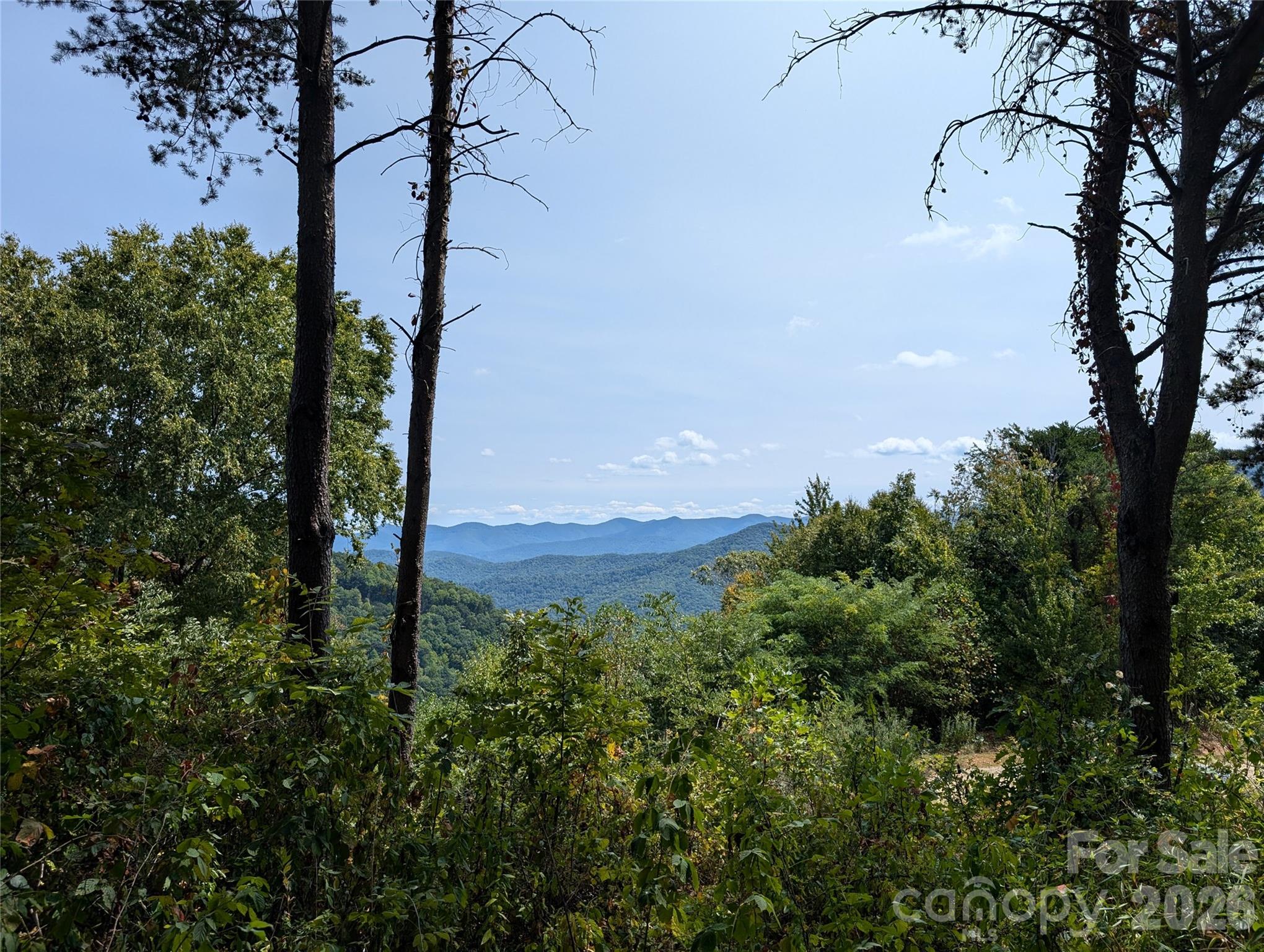 42 High Rock View Drive Property Photo 2