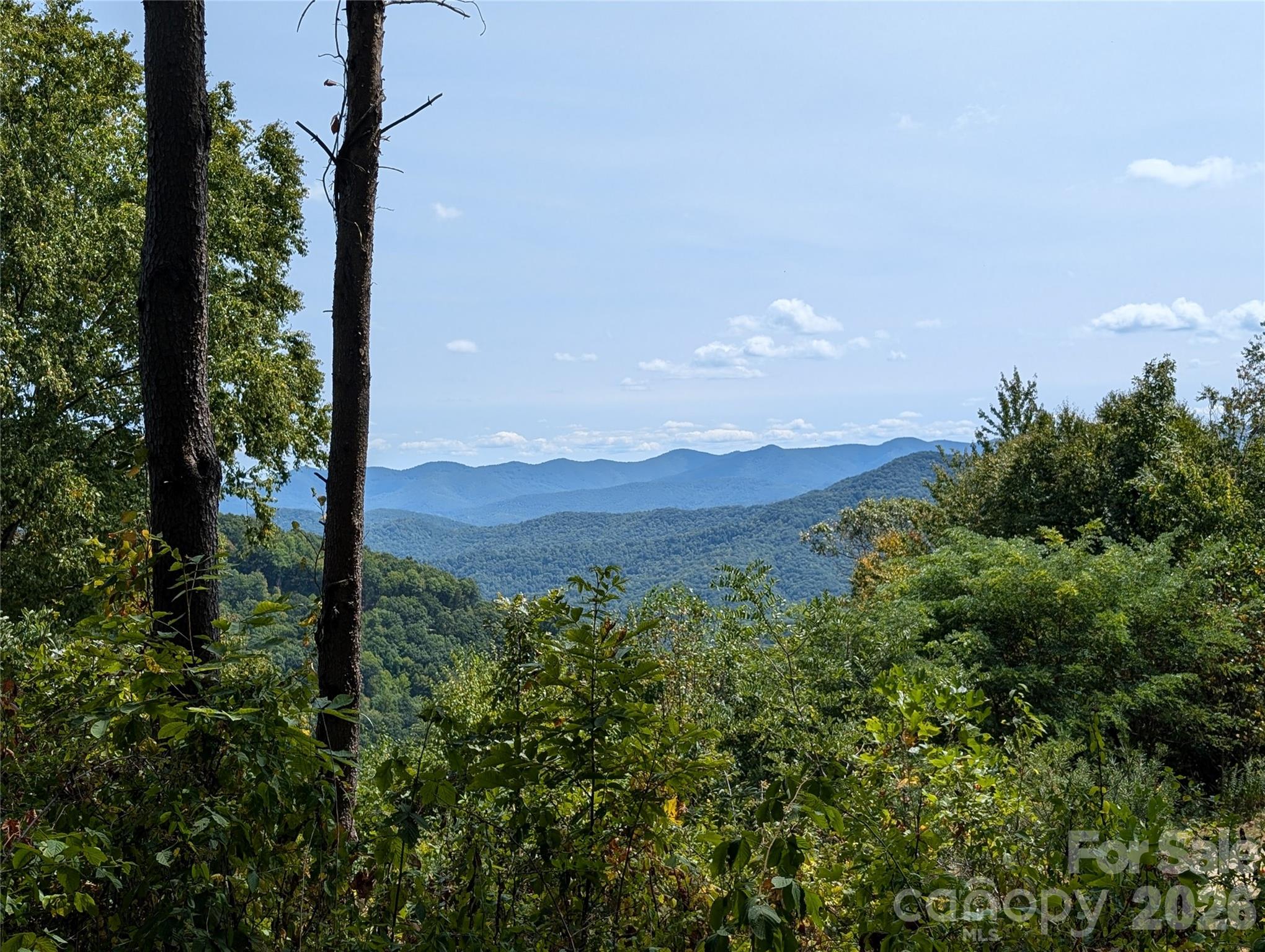 42 High Rock View Drive Property Photo 7