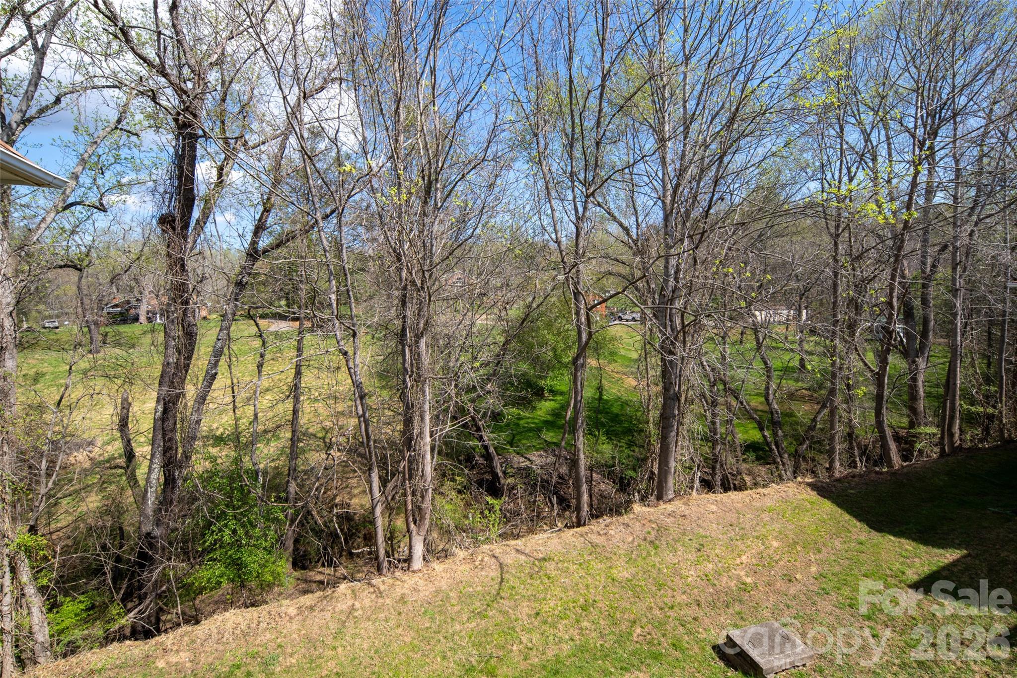 803 Woodlea Court Property Photo 7