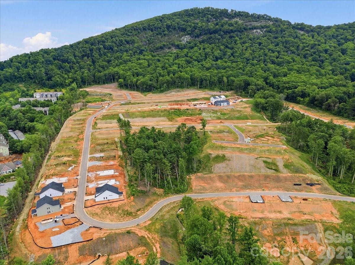 239 Smokey Holler Drive Property Photo 8