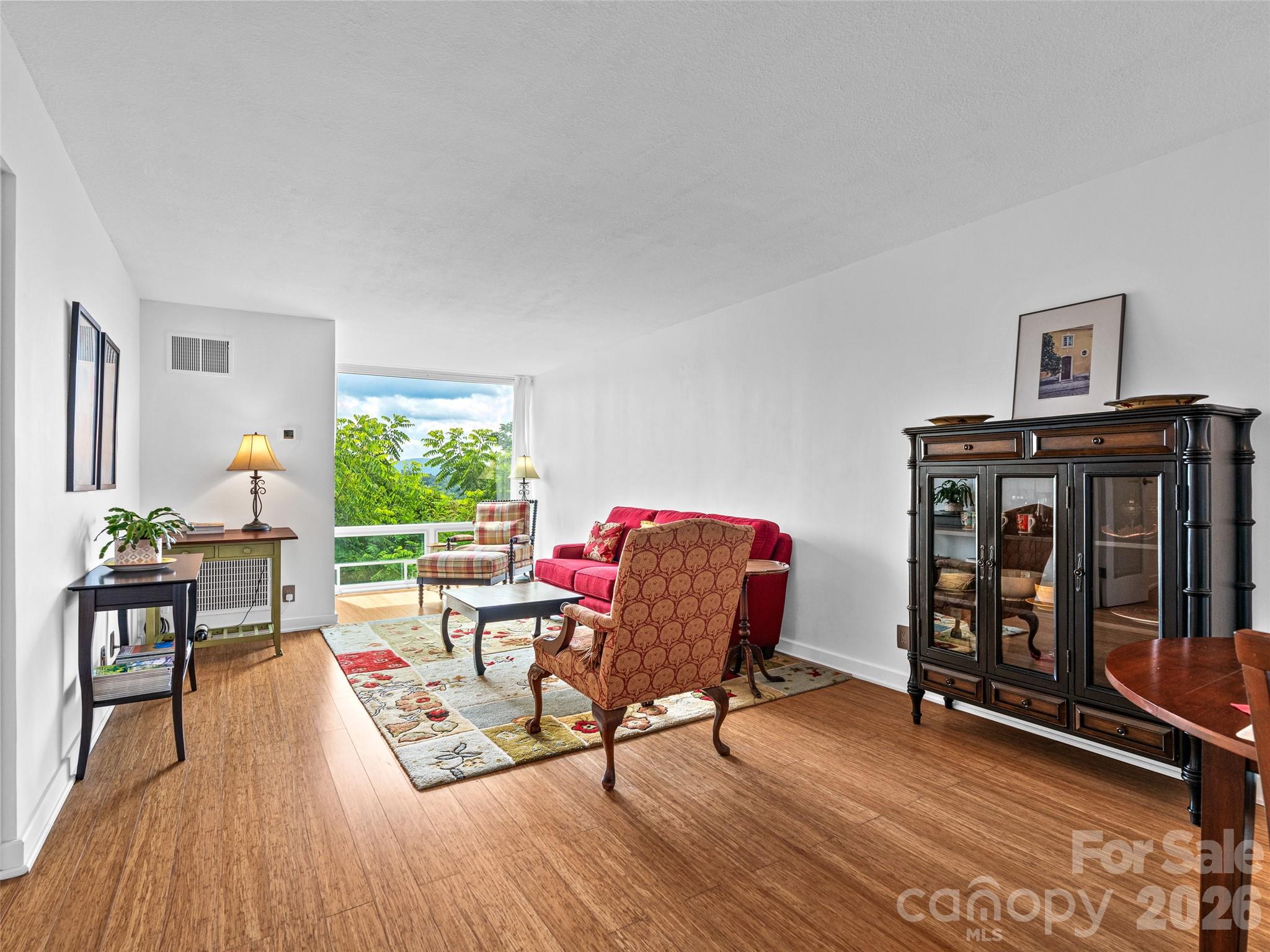 647 Town Mountain Road 309 Property Photo 6