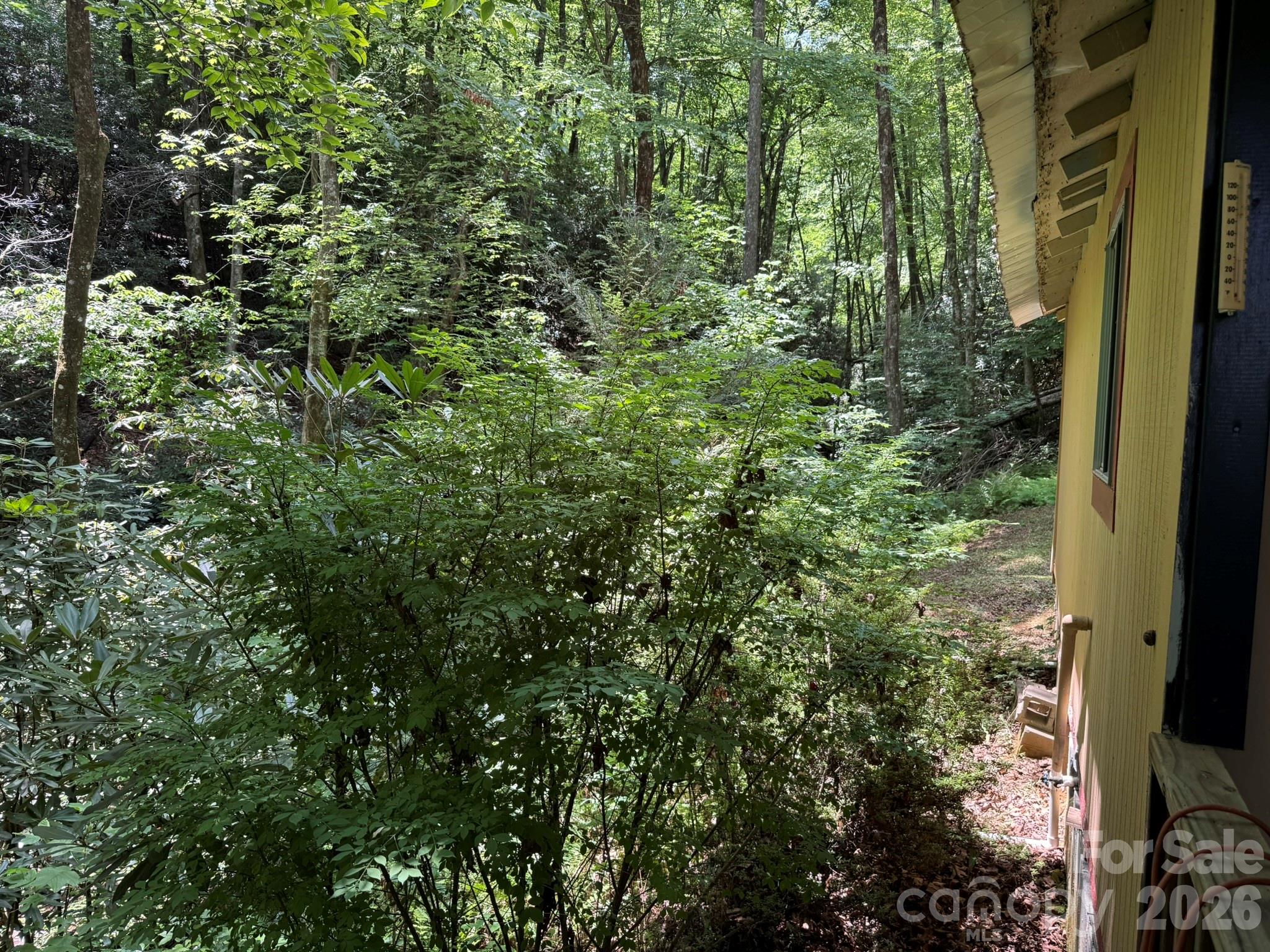 181 Lyman Lane Property Photo 19