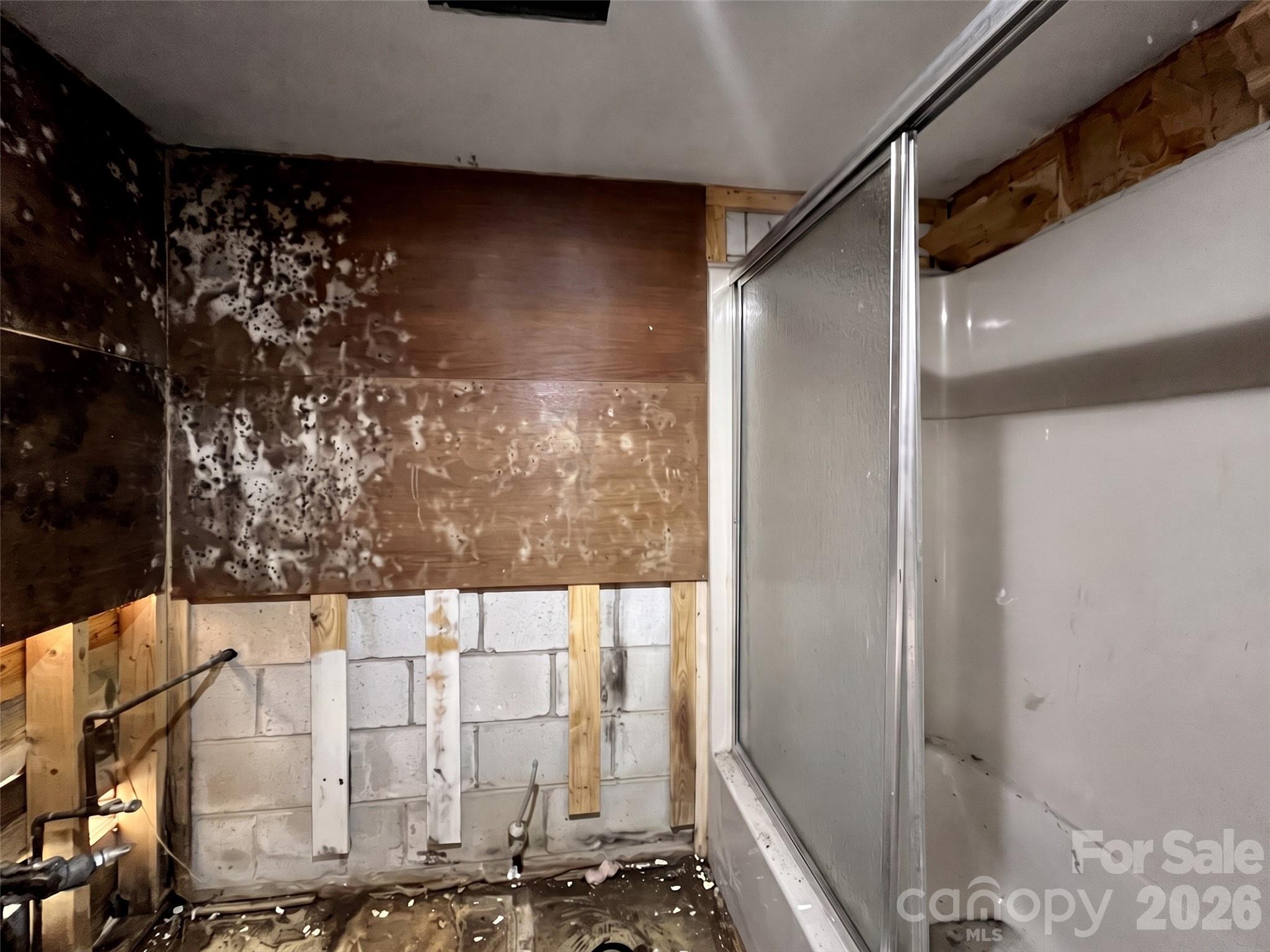101 Cactus Loop Property Photo 19