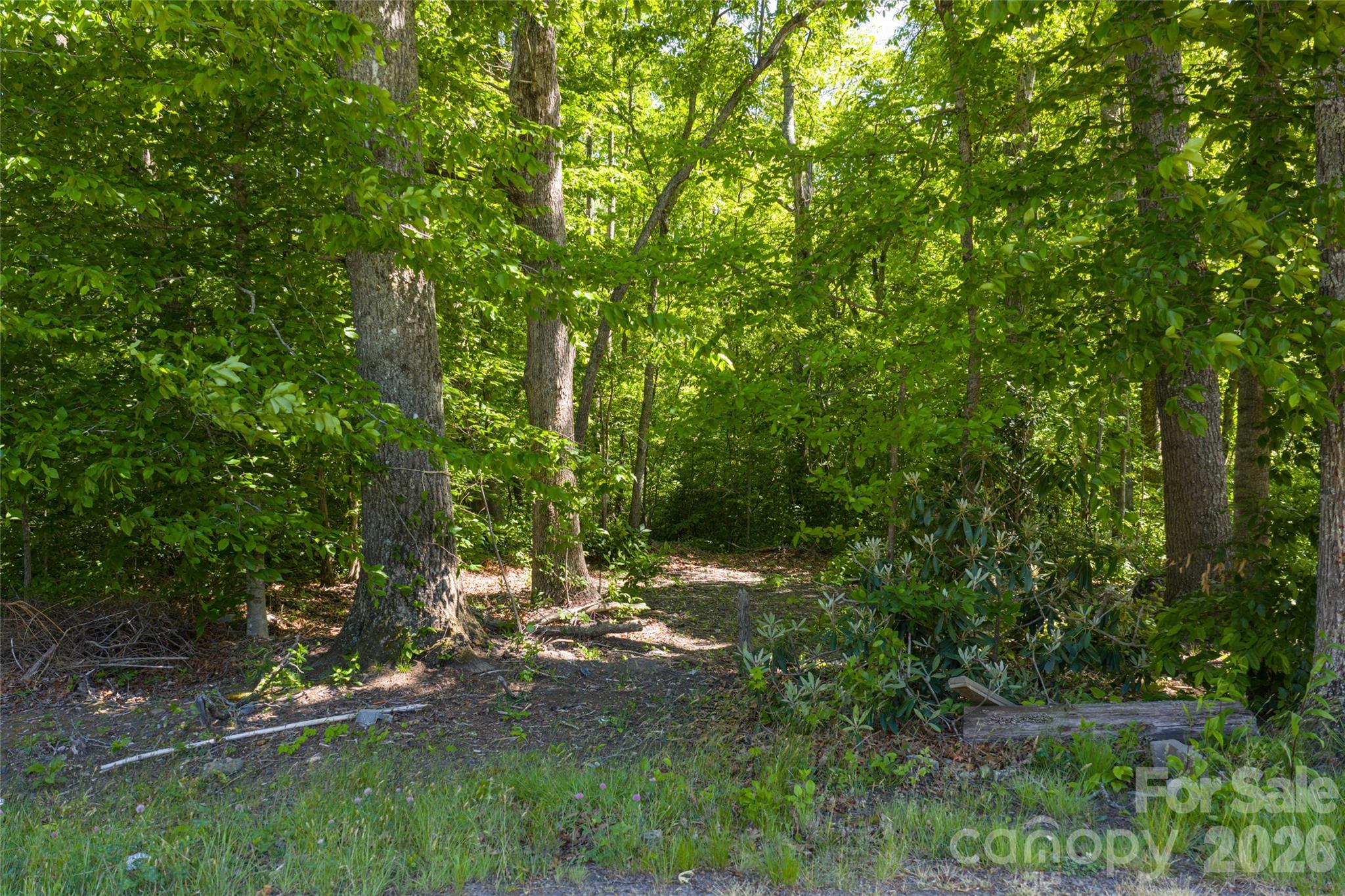 9999 Mount Allen Heights Property Photo 6