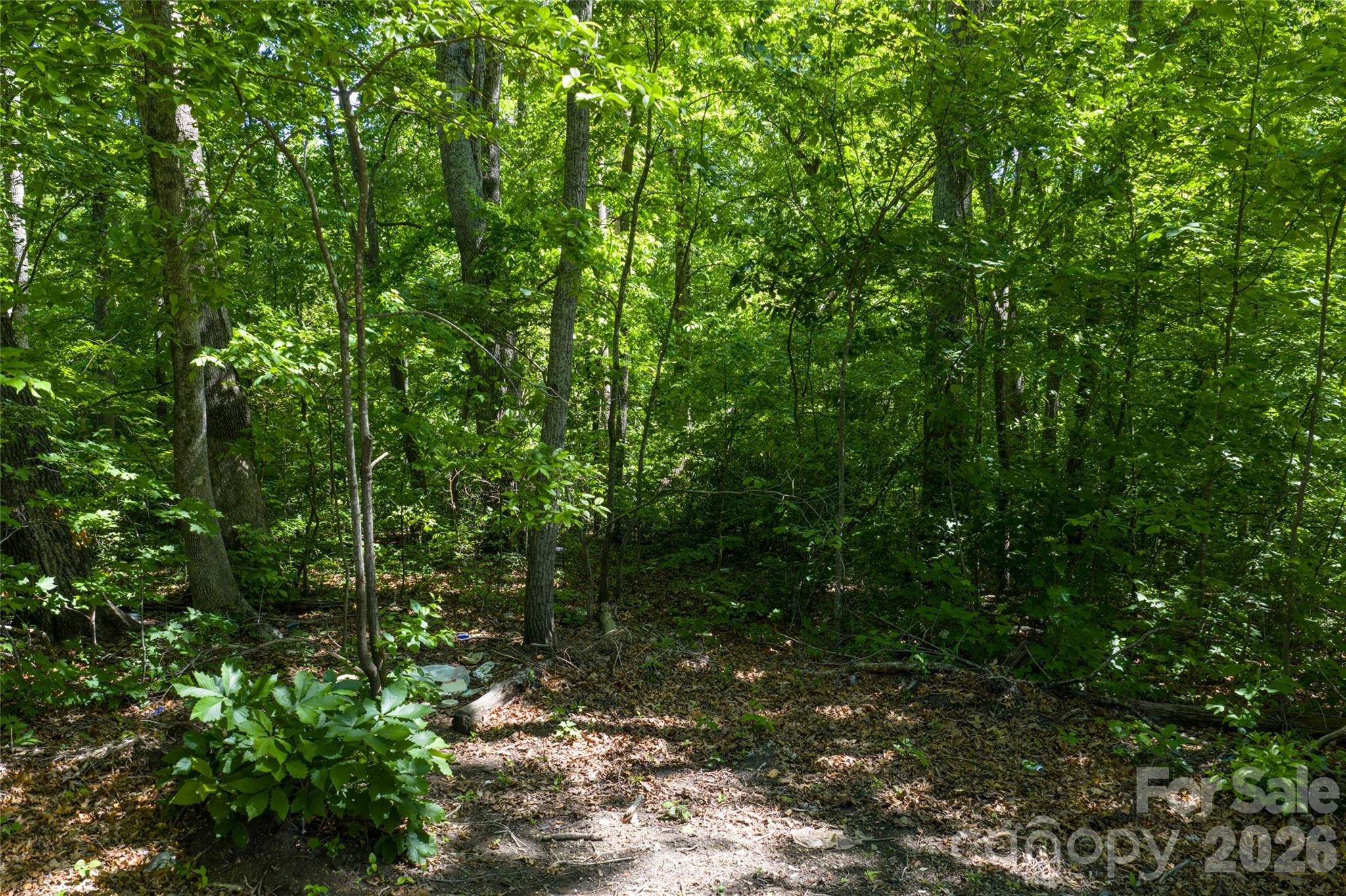 9999 Mount Allen Heights Property Photo 8