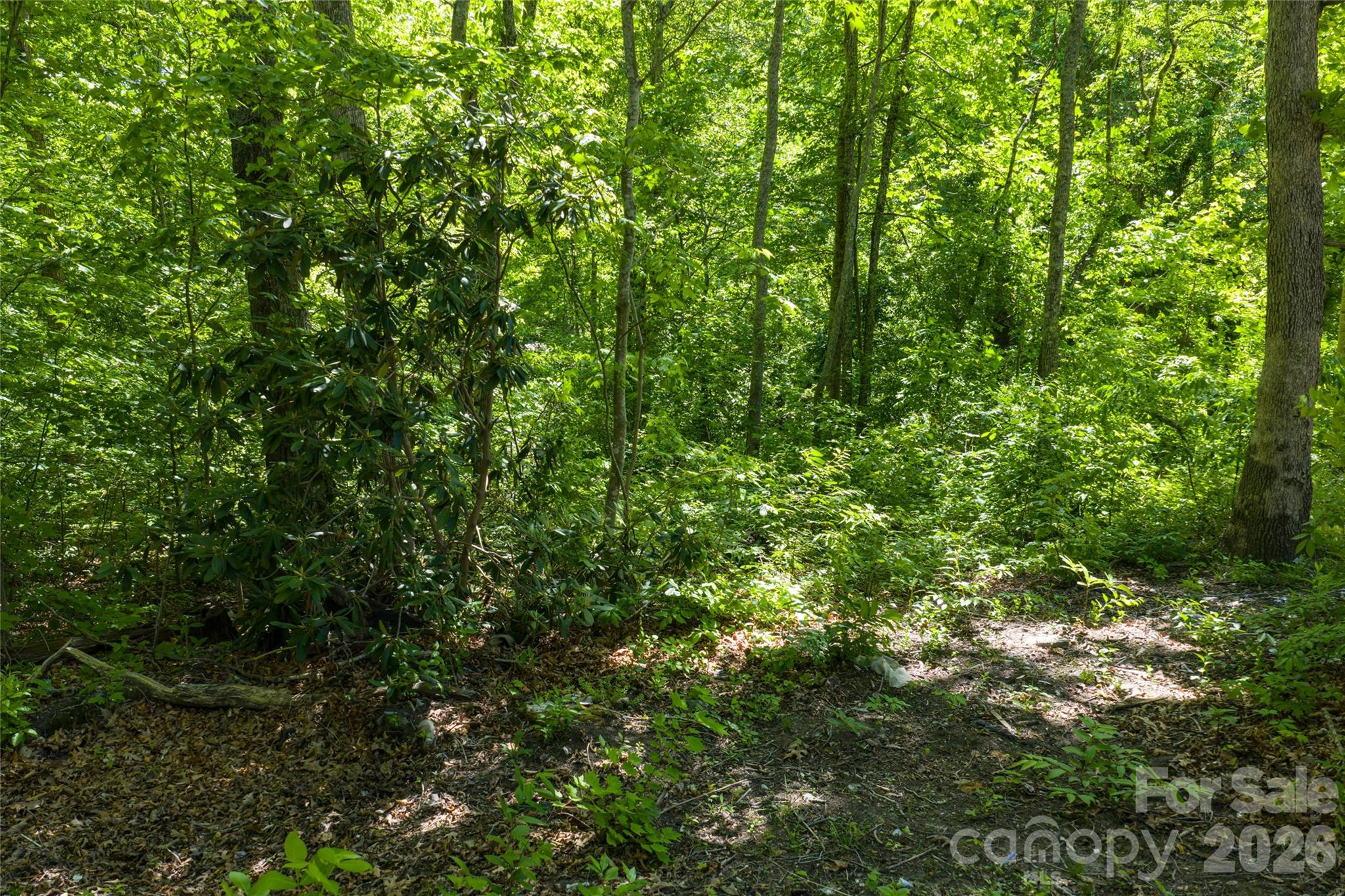 9999 Mount Allen Heights Property Photo 9