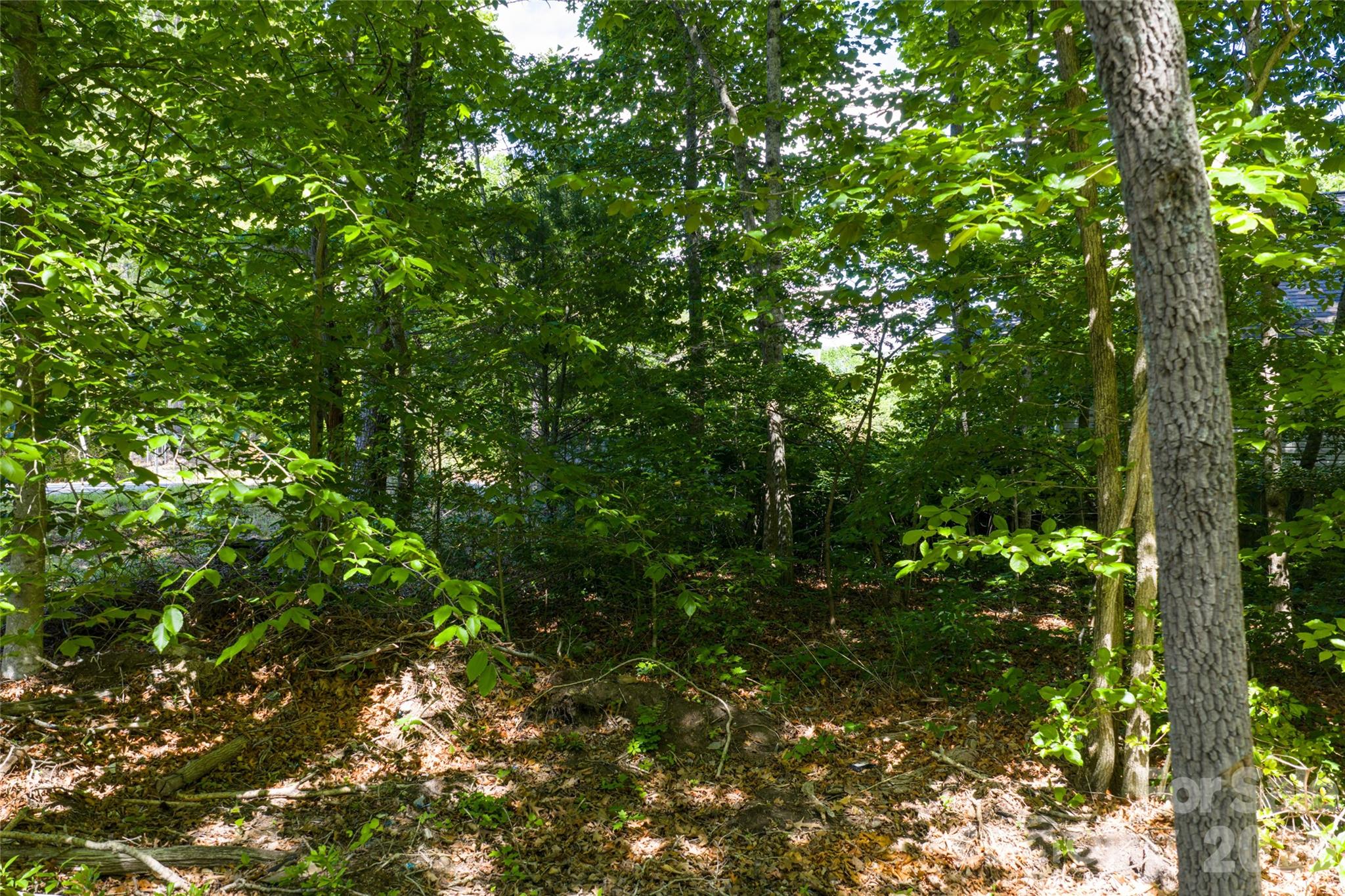 9999 Mount Allen Heights Property Photo 11