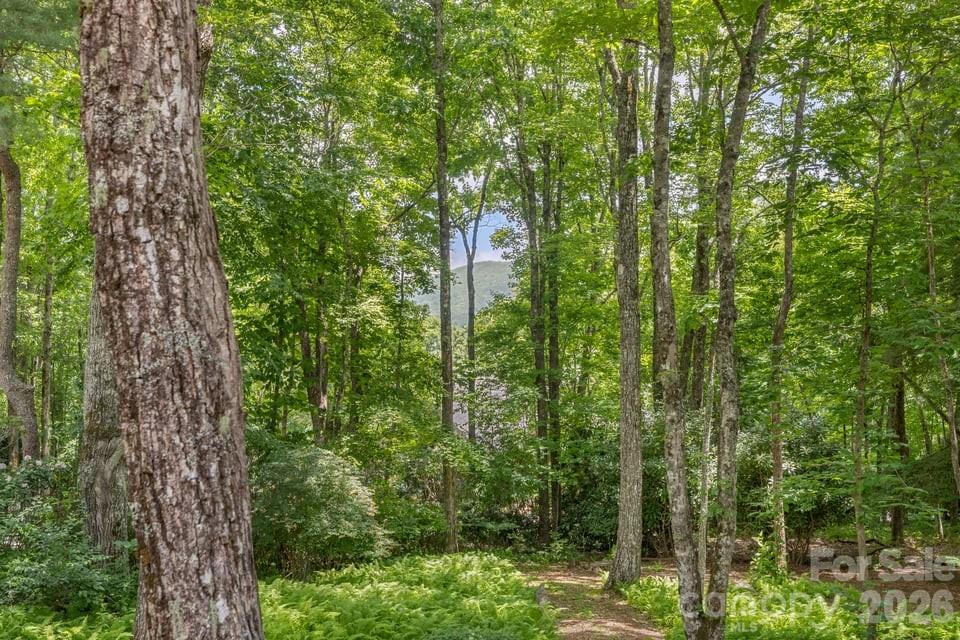 17 Sunset Trace Property Photo 11