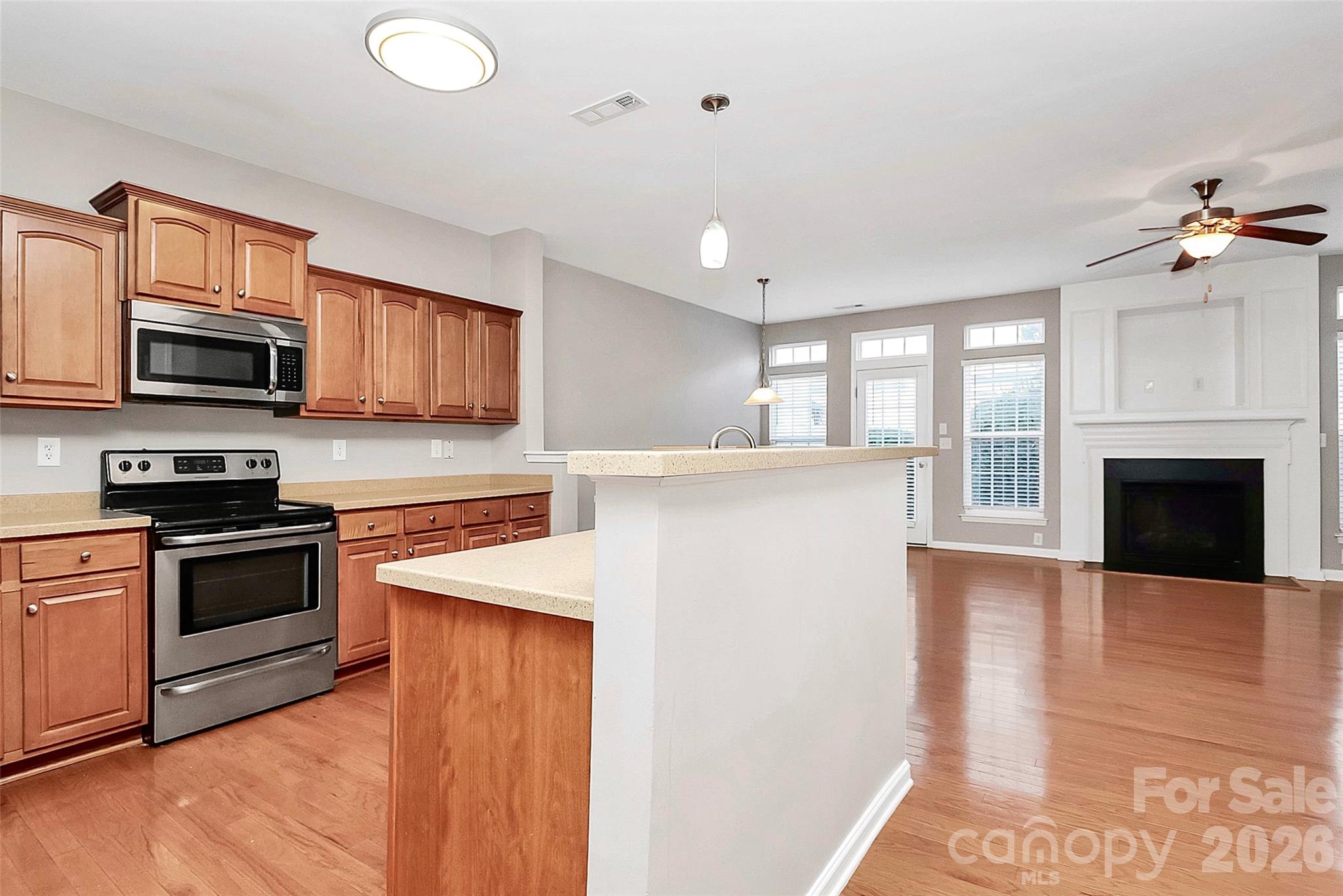 16874 Hugh Torance Parkway Property Photo 3